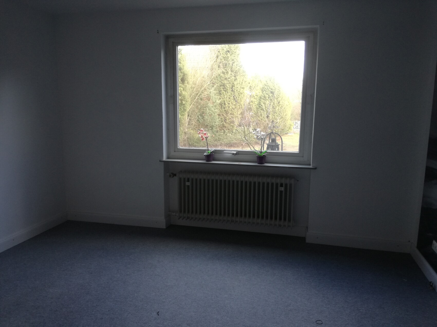 Leerer Raum mit Fenster; Heizkörper darunter, zwei Orchideen in lilafarbenen Töpfen auf der Fensterbank.
