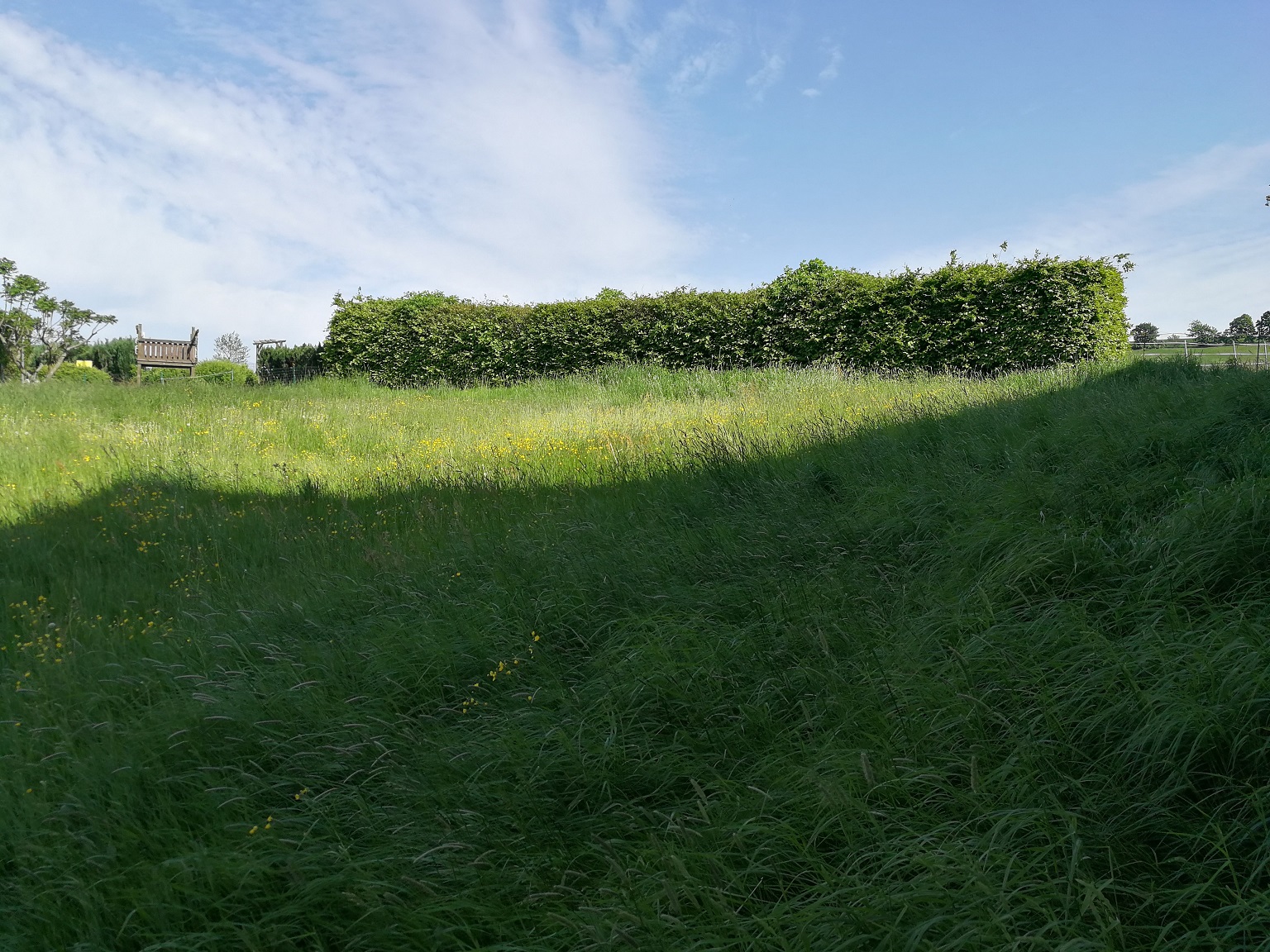 leichte-hanglage-aufschuetten-oder-mit-hang-bauen-261514-4.jpg