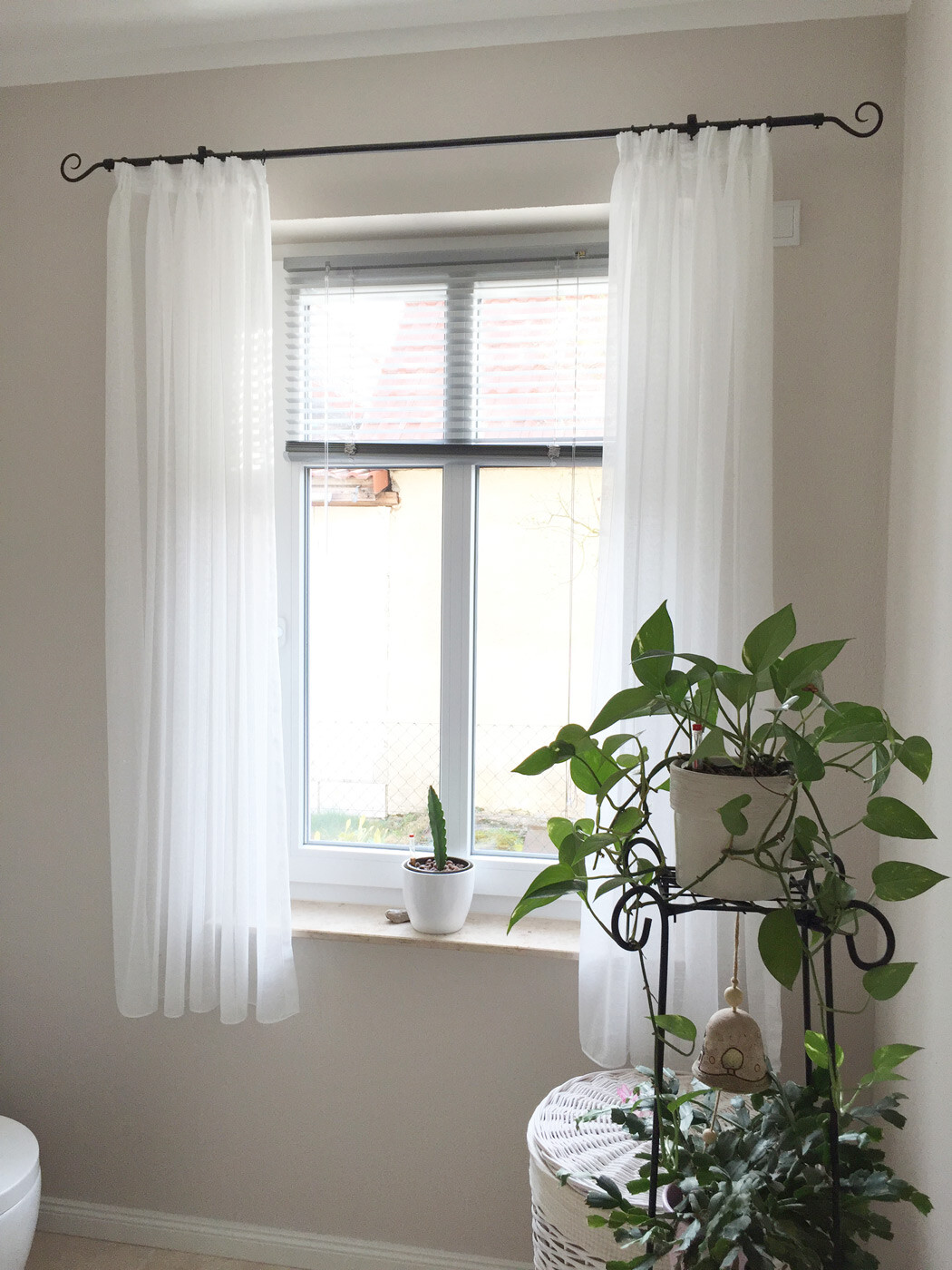Fenster mit weißen Vorhängen, Kaktus auf Fensterbank und grüne Pflanze auf Metallgestell.