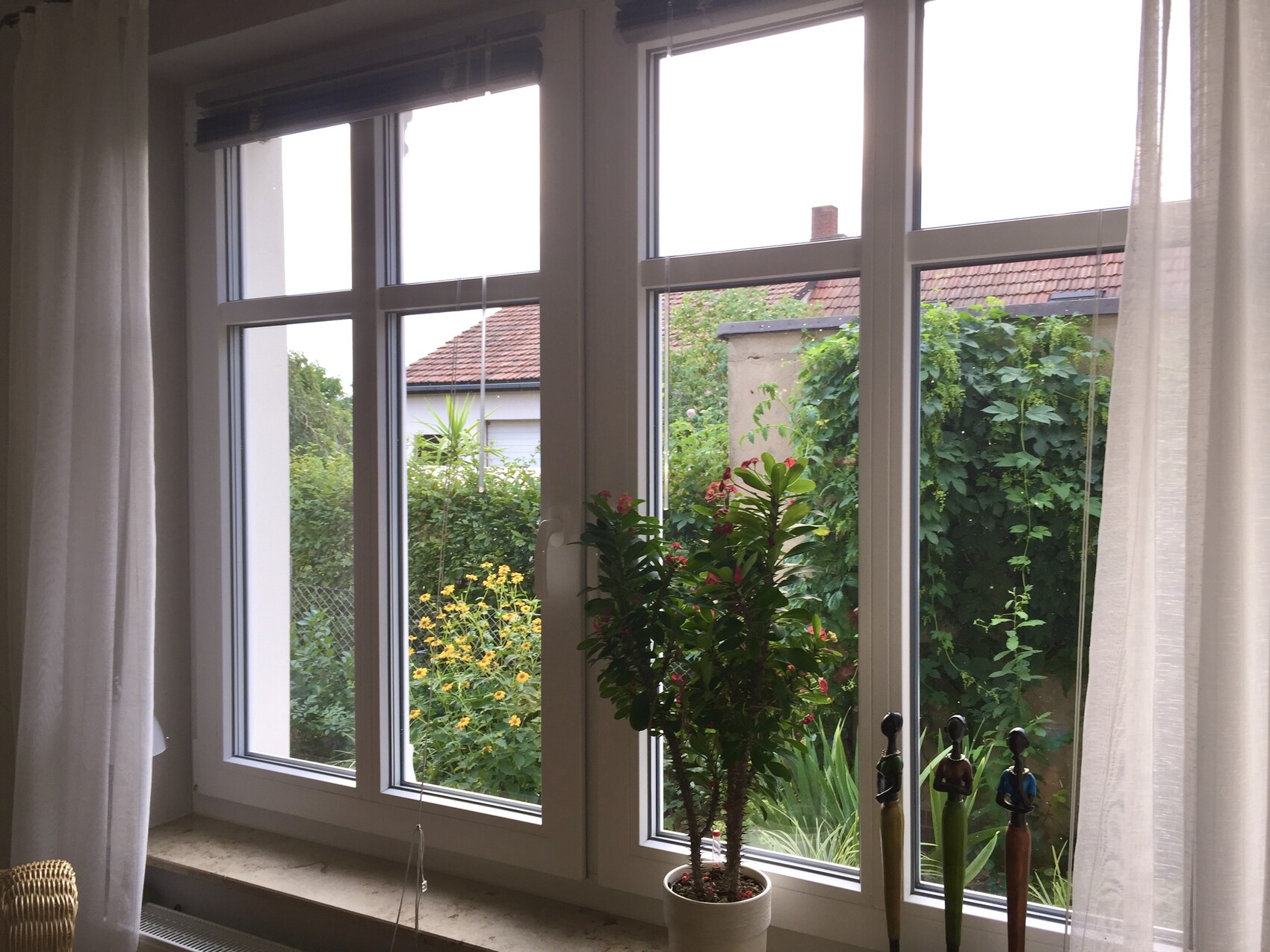 Fenster mit Vorhängen; Topfpflanze auf Fensterbank; Garten mit gelben Blumen und Kletterpflanzen.