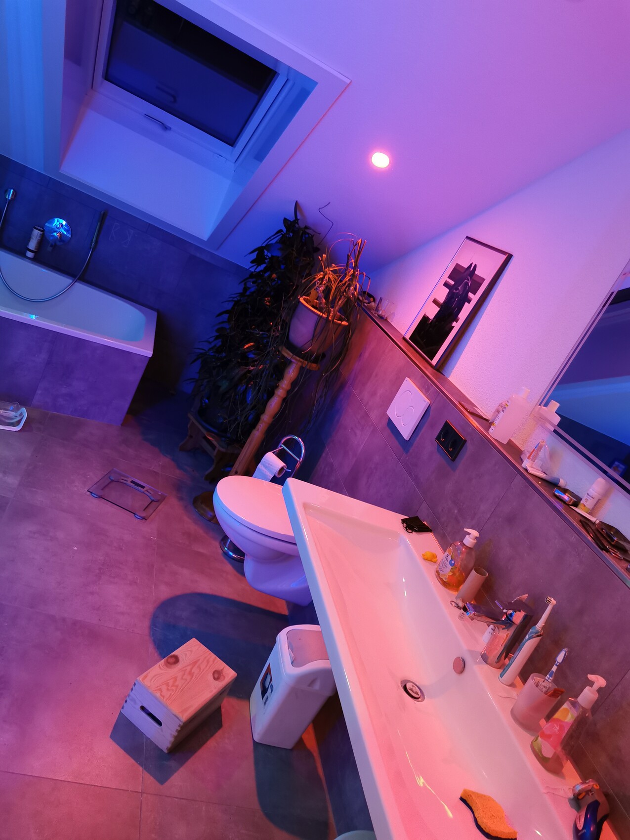 Badezimmer mit LED-Licht; Dachfenster, Badewanne links, Toilette, Waschbecken, Pflanzen und Bild.