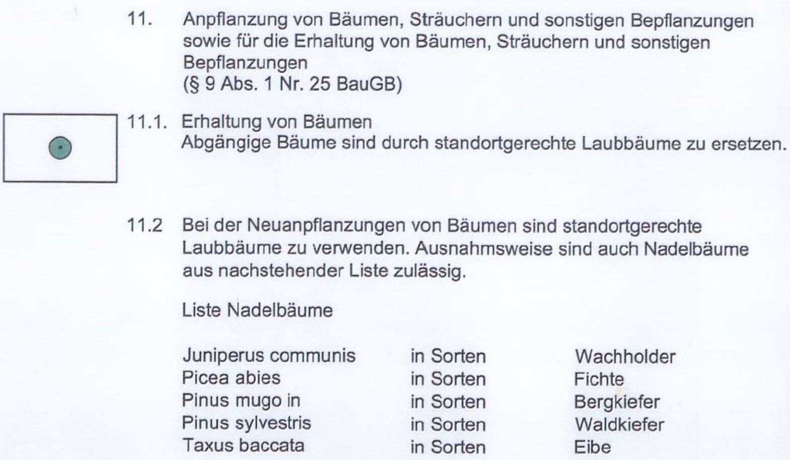 Seite mit Text zur Anpflanzung von Nadelbäumen und Liste von Baumarten im Garten.
