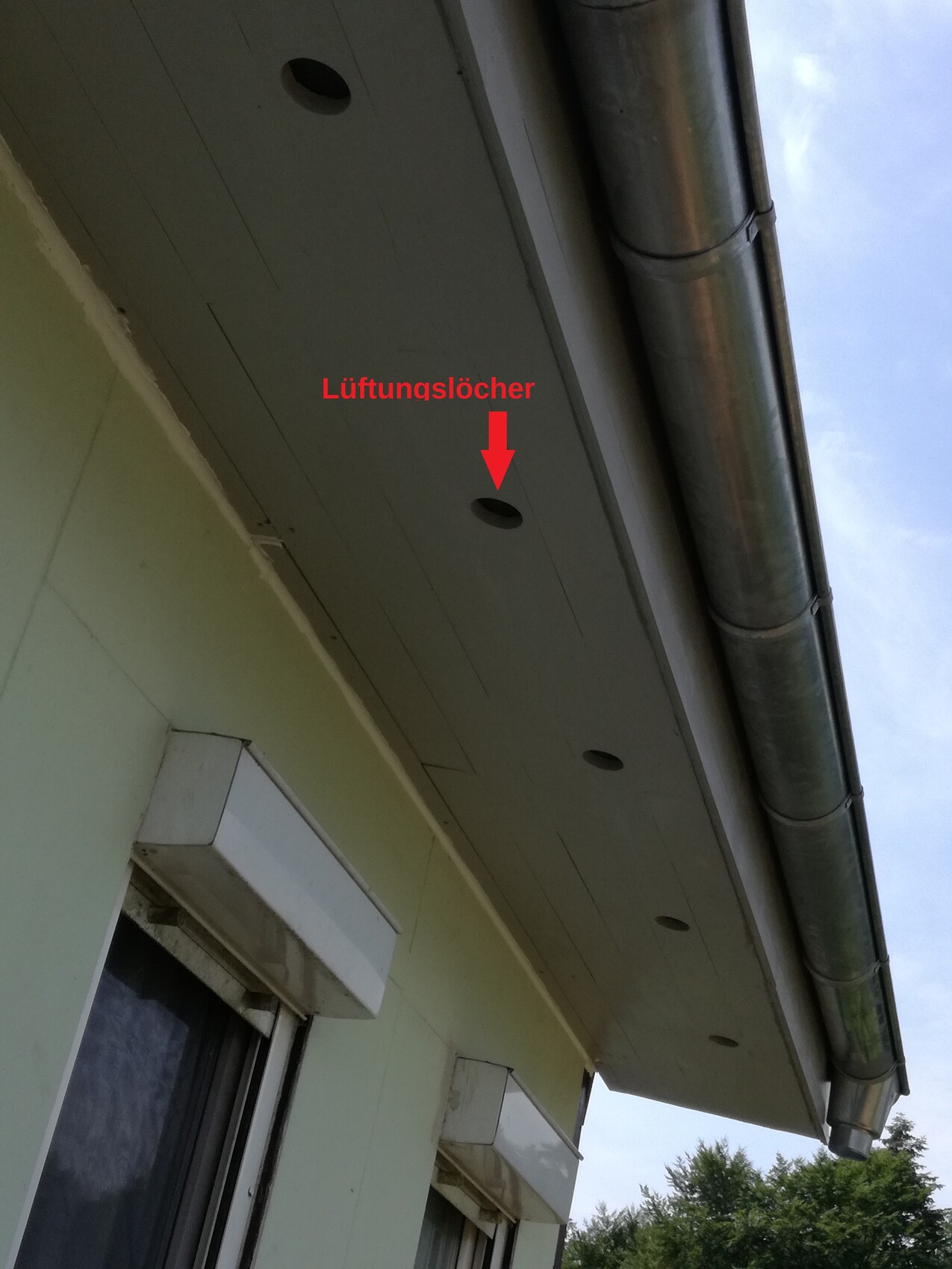 Außenansicht eines Hausdaches mit Dachüberstand, runden Lüftungslöchern und Regenrinne.