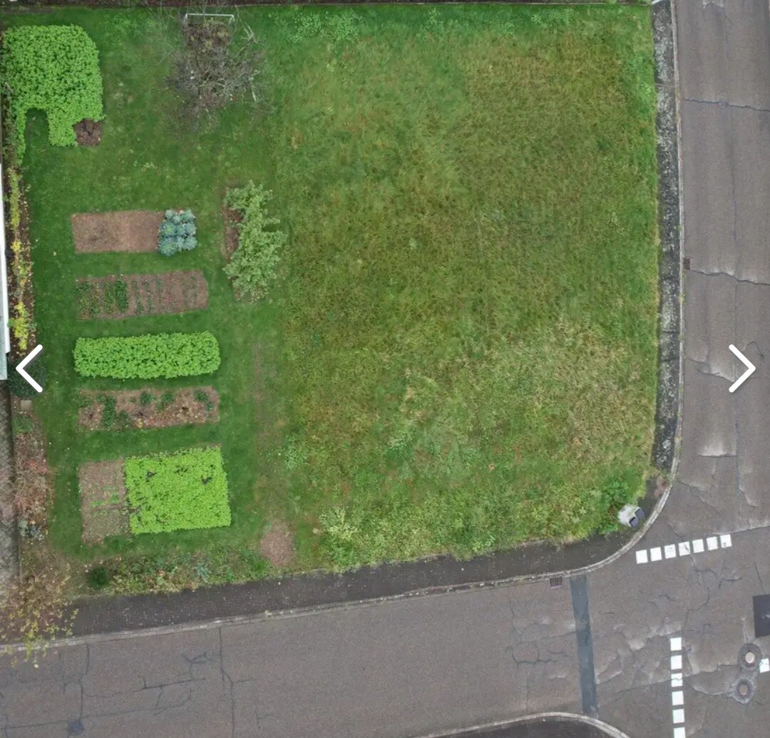 Vogelperspektive: Garten mit rechteckigen Beeten links, grasbewachsener Fläche rechts neben Straße.