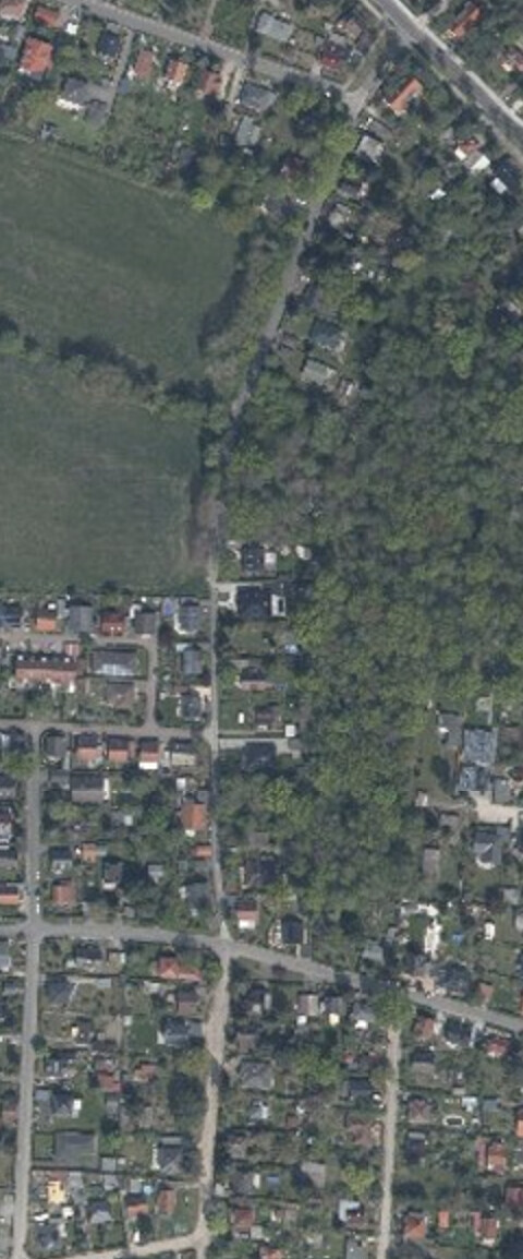 Luftbild eines Wohnviertels mit Häusern, Straßen, Gärten und Wald am Rand.