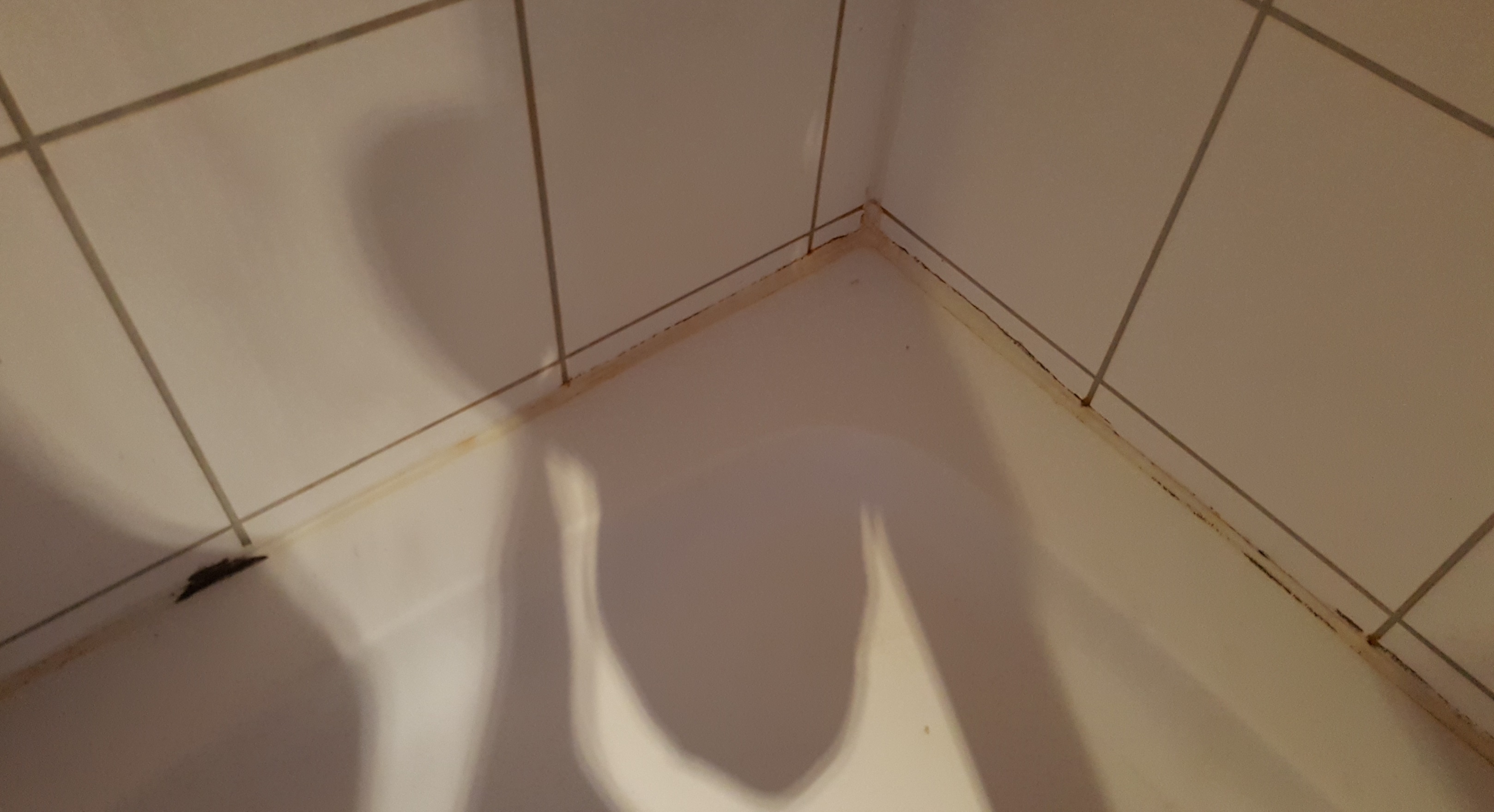 maengel-im-badezimmer-167216-3.jpg