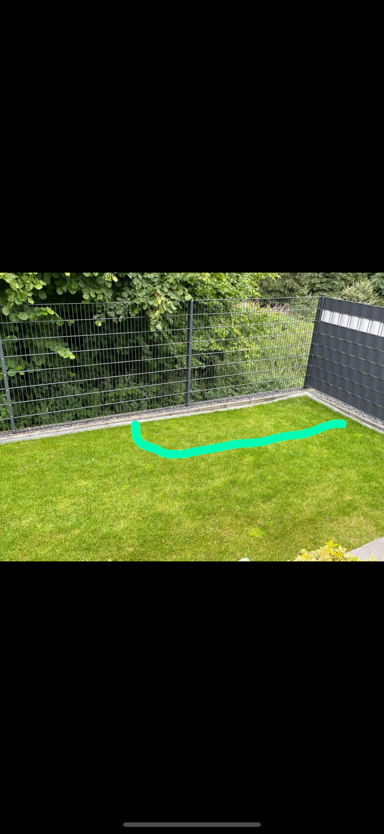 Garten mit grünem Rasen, schwarzem Metallzaun und dunklem Paneelzaun; türkisfarbene Linie am Boden.