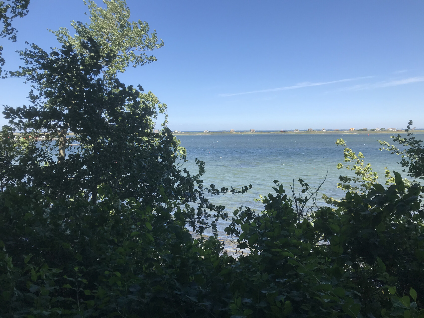 Blick aufs Meer: Vordergrund mit grüner Vegetation, türkisfarbenes Wasser, Häuser am Horizont.