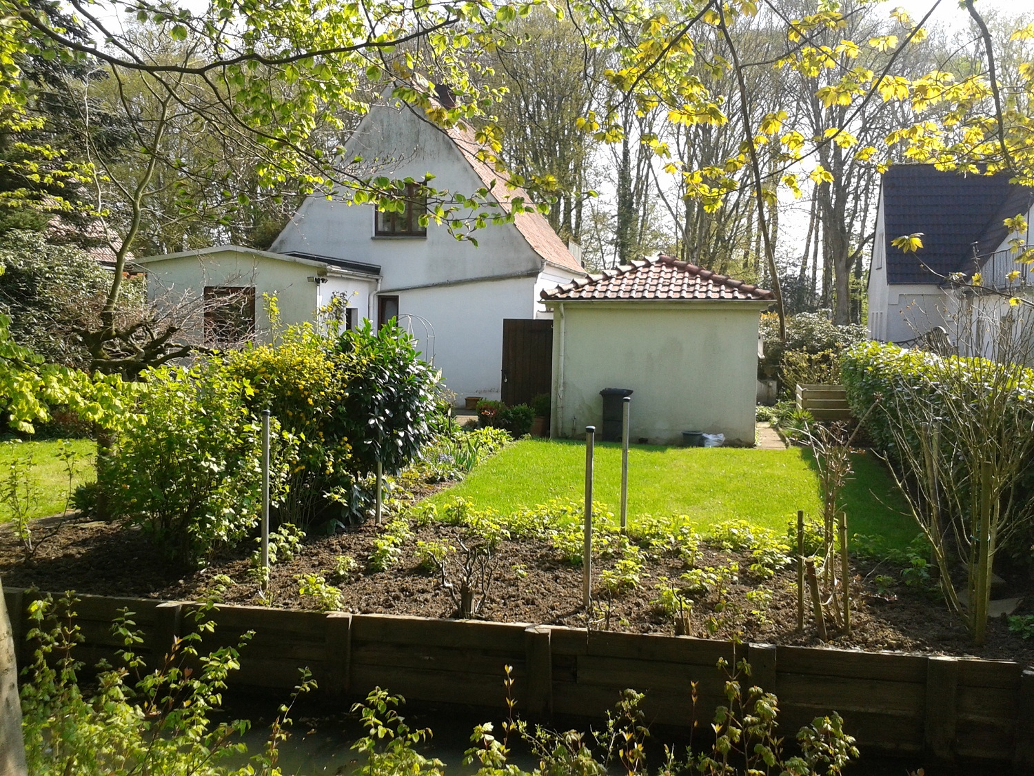 meinungen-zum-grundriss-neubau-345734-3.jpg