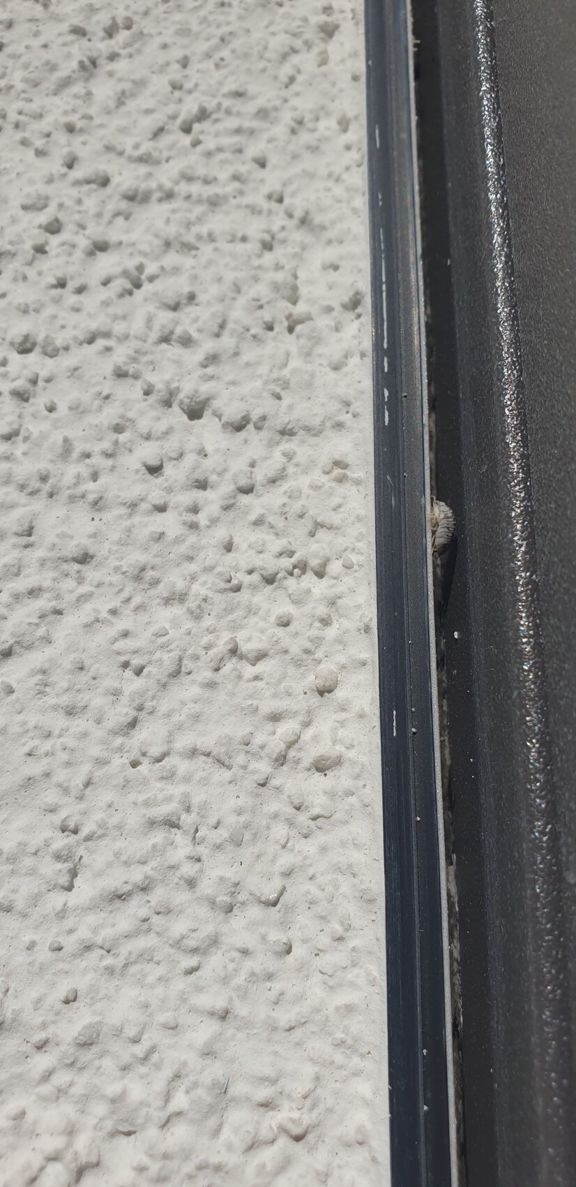 Nahaufnahme einer weißen rauen Wand neben einem dunklen Metallrahmen, sichtbar ein Schraubenkopf.