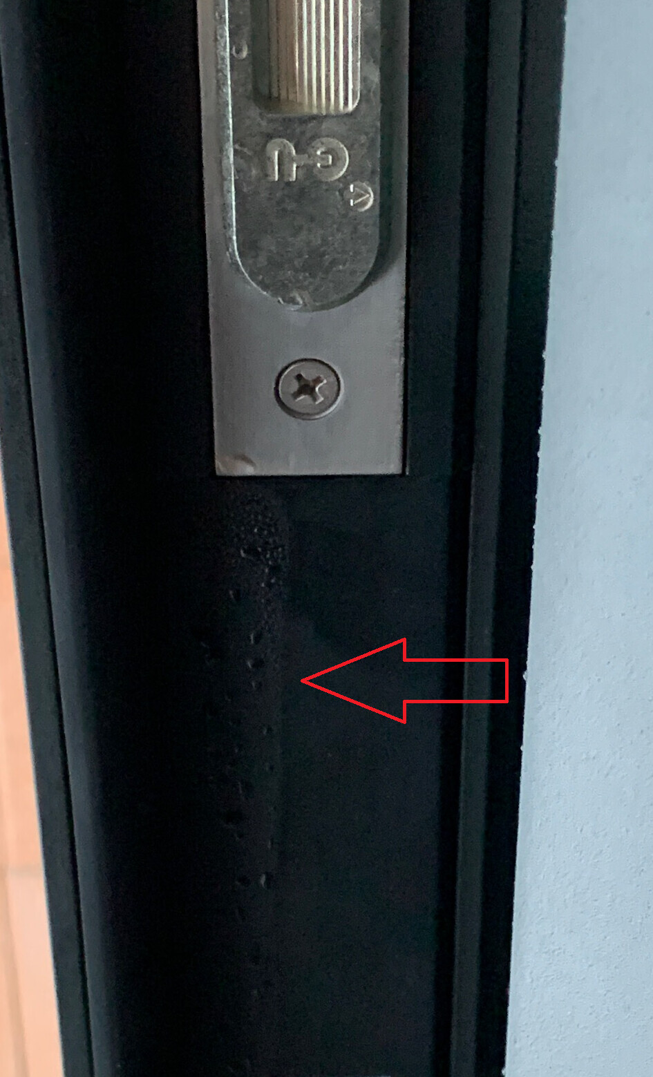 Nahaufnahme Türrahmen mit Metallverschluss, Schraube sichtbar; roter Pfeil markiert Dichtung.