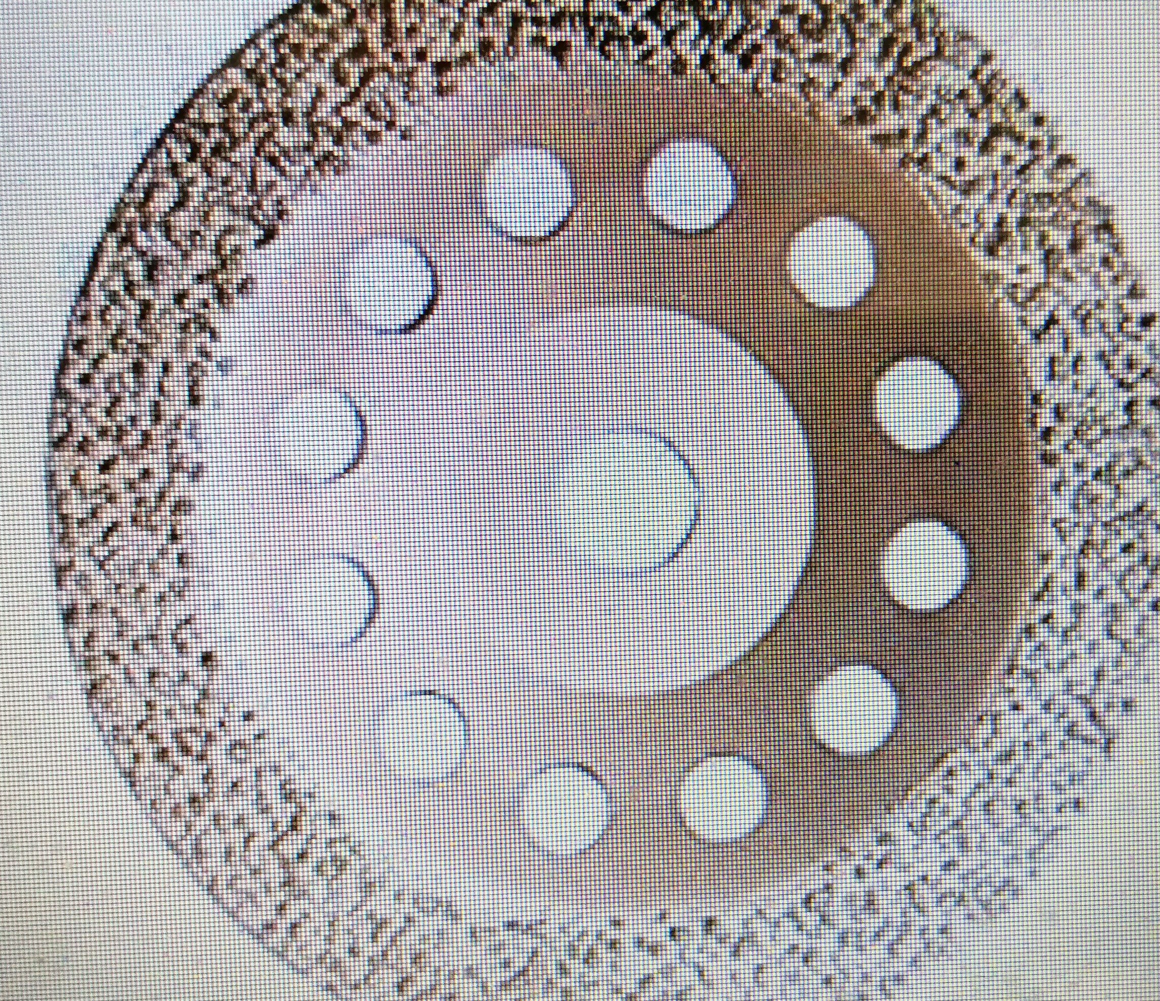 mineralischen-fliesenkleber-komplett-entfernen-538352-1.jpg