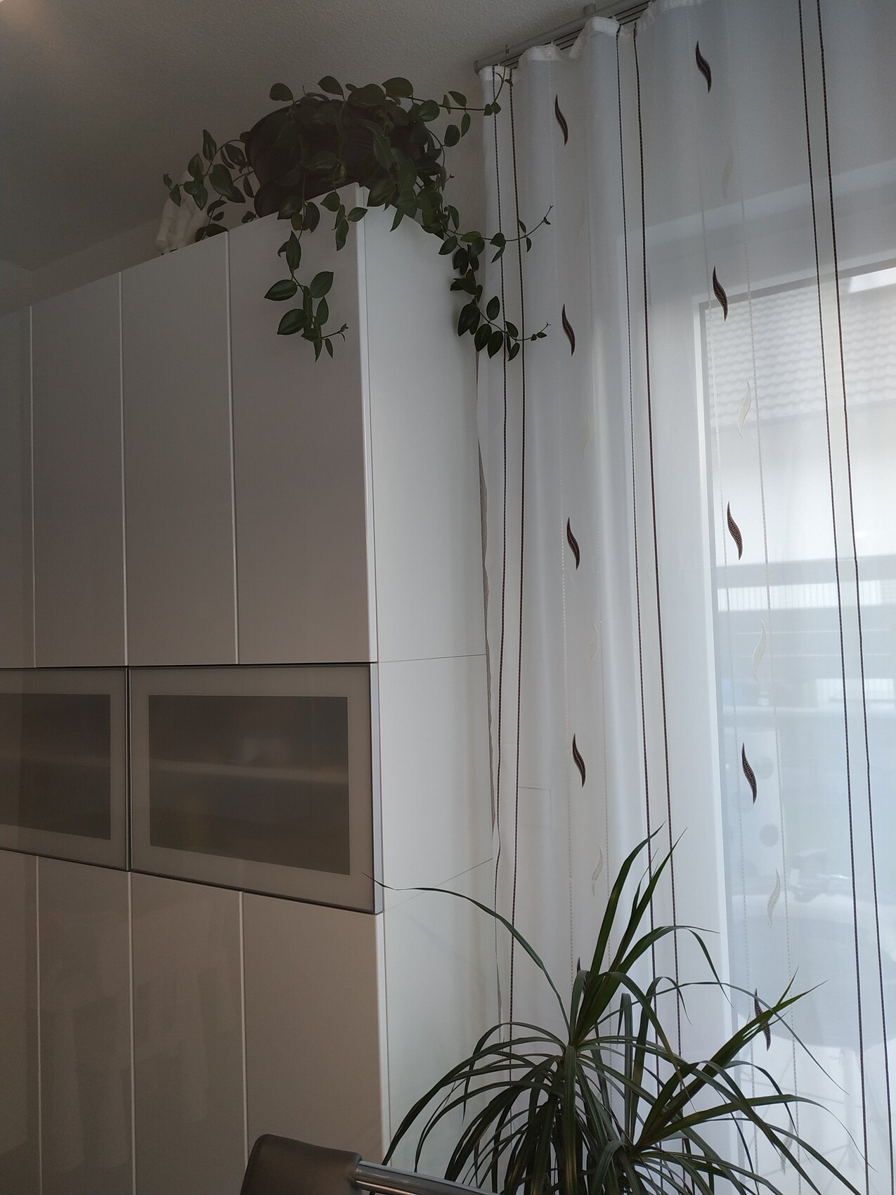 Moderne Küche: Weiße Schränke, Pflanze auf dem Schrank, Fenster mit Blatt-Vorhang.
