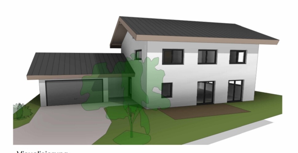 Modernes zweistöckiges Haus mit Garage links, grünem Garten und Zufahrt.