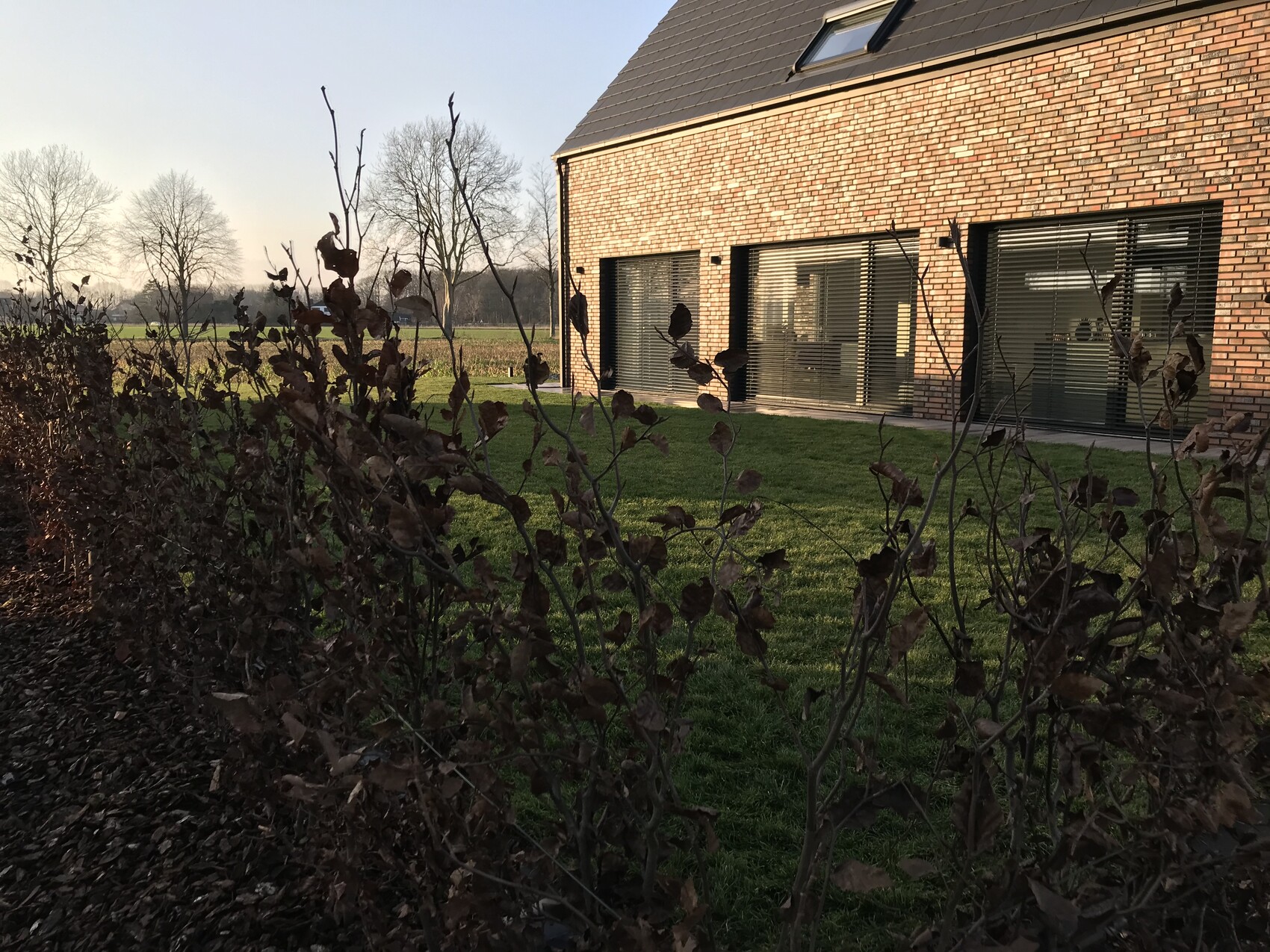 Modernes Backsteinhaus mit großen Glasfronten, grünem Rasen und braunlaubige Hecke im Vordergrund.