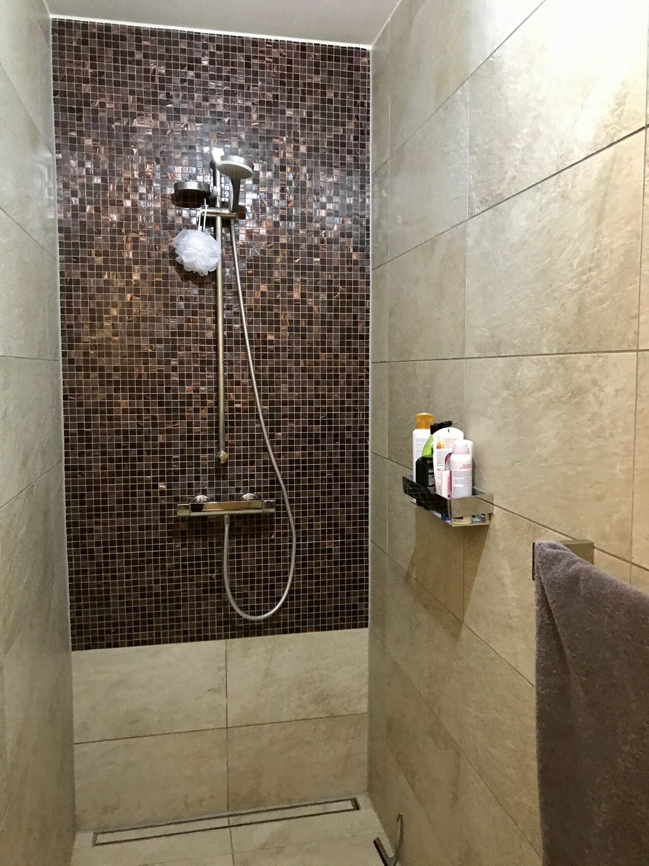 Duschbereich mit braunen Mosaikfliesen, Handbrause und Regal mit Pflegeprodukten.
