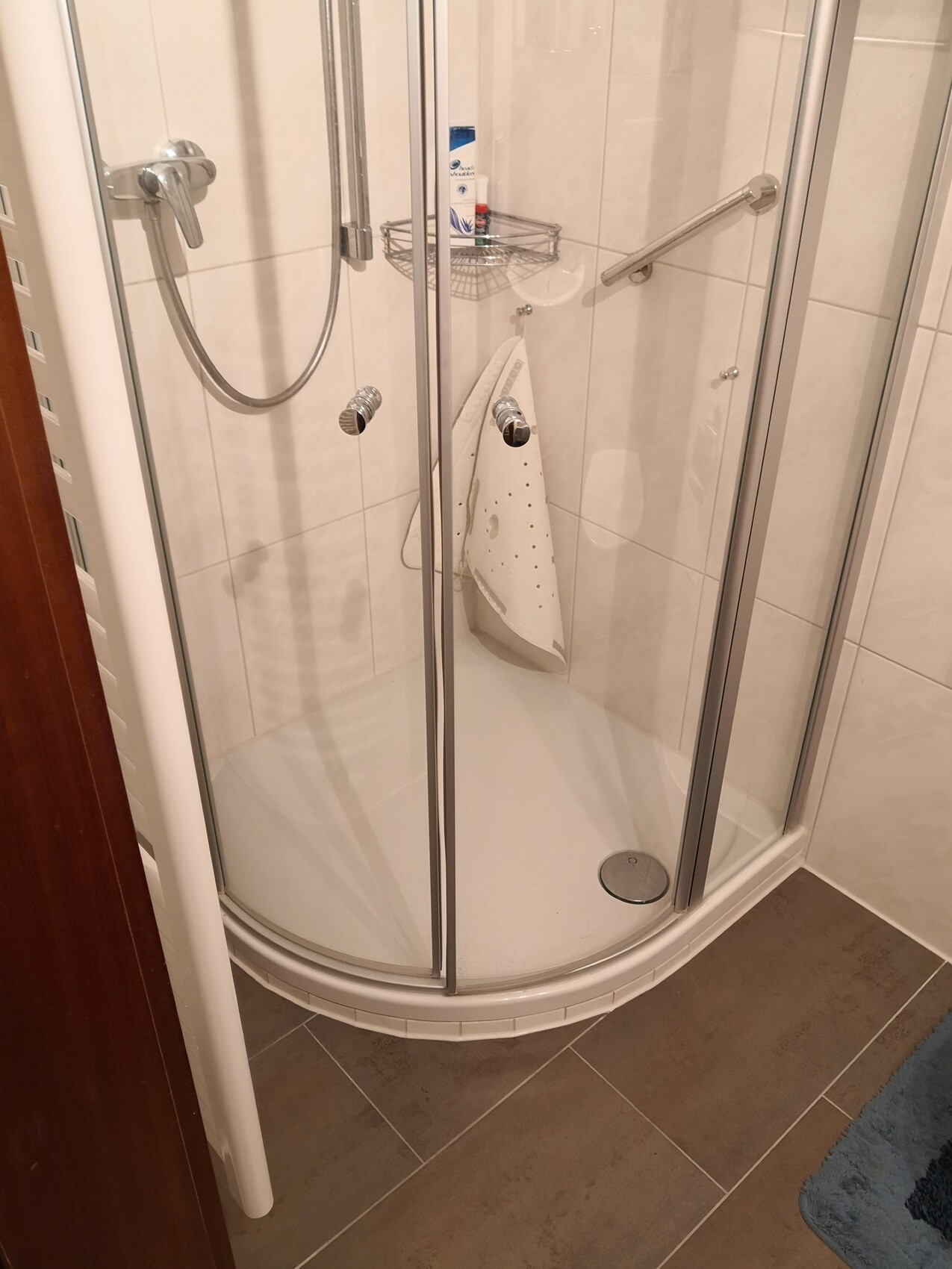 Kleine Eckdusche aus Glas mit Metallrahmen; Duschkopf links und Regalkorb mit Shampoo.
