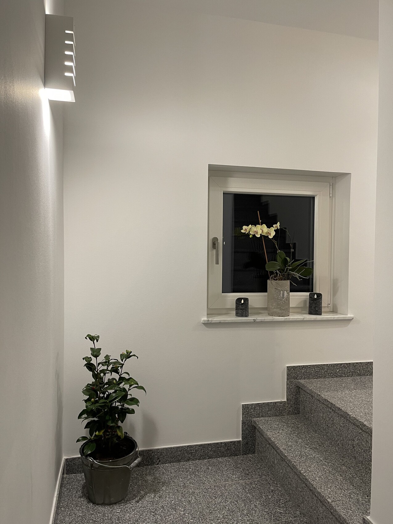 Heller Flur mit Treppe, Fenster mit Orchidee auf der Fensterbank und Topfpflanze.