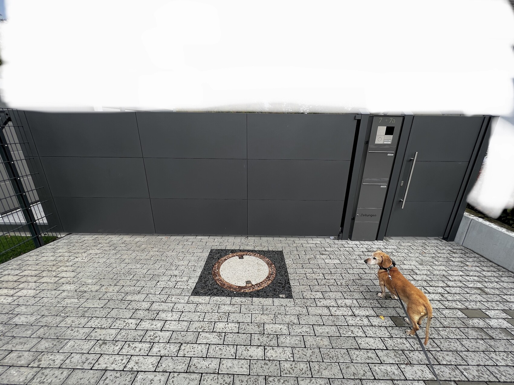 Moderner grauer Eingangspforte mit Intercom, Briefkasten, gepflastertem Hof und Hund