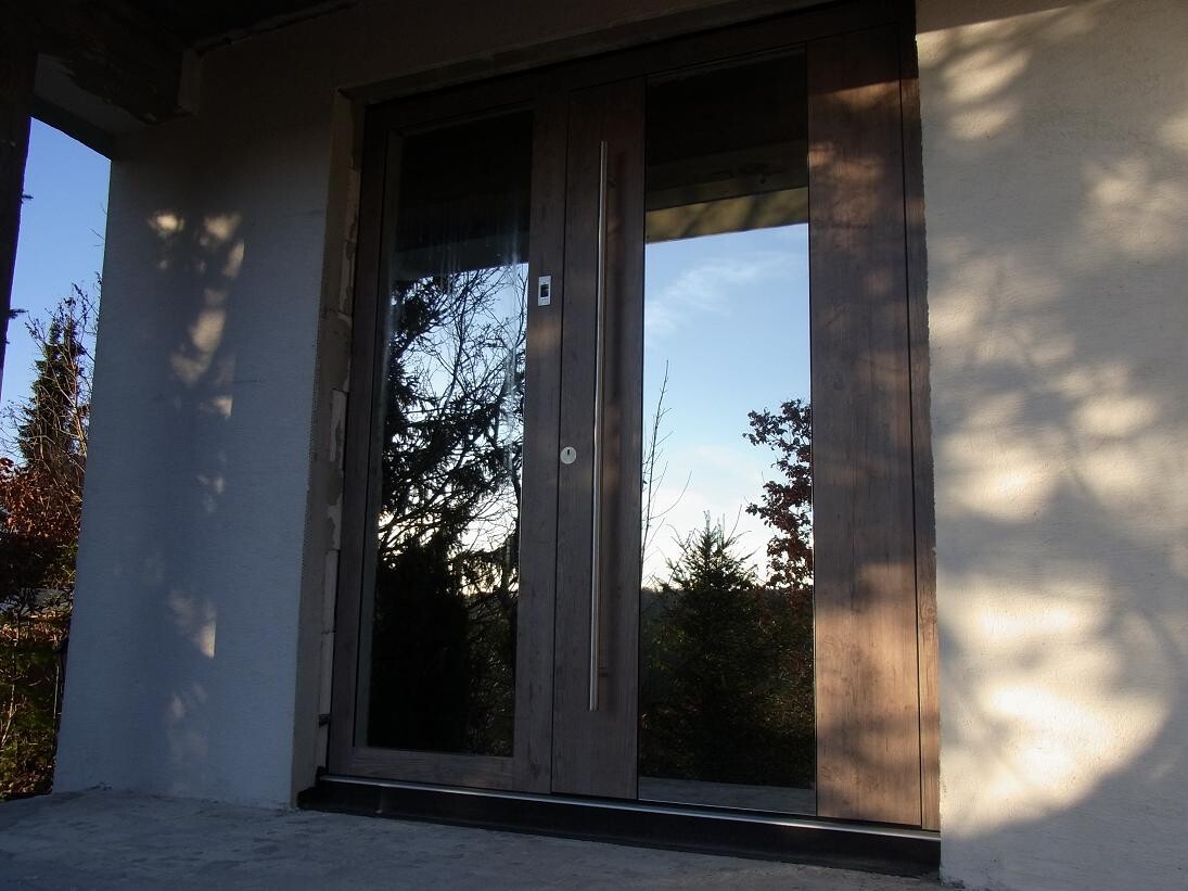 Holztür mit Glasfront, Baumreflexionen spiegeln sich, Schatten auf der Außenwand