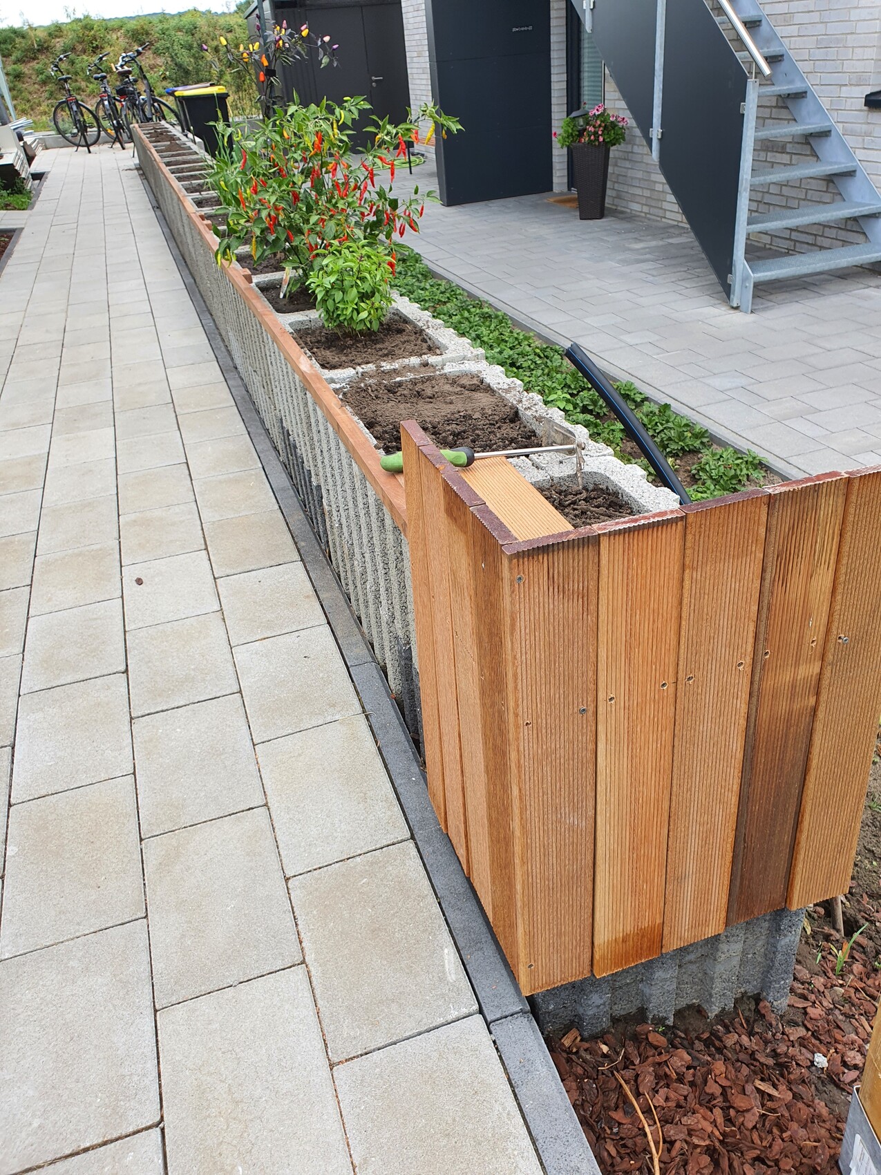 Langer Holzkasten für Pflanzen am Pflasterweg; Chili-Pflanze, Schlauch und Fahrräder im Hintergrund.