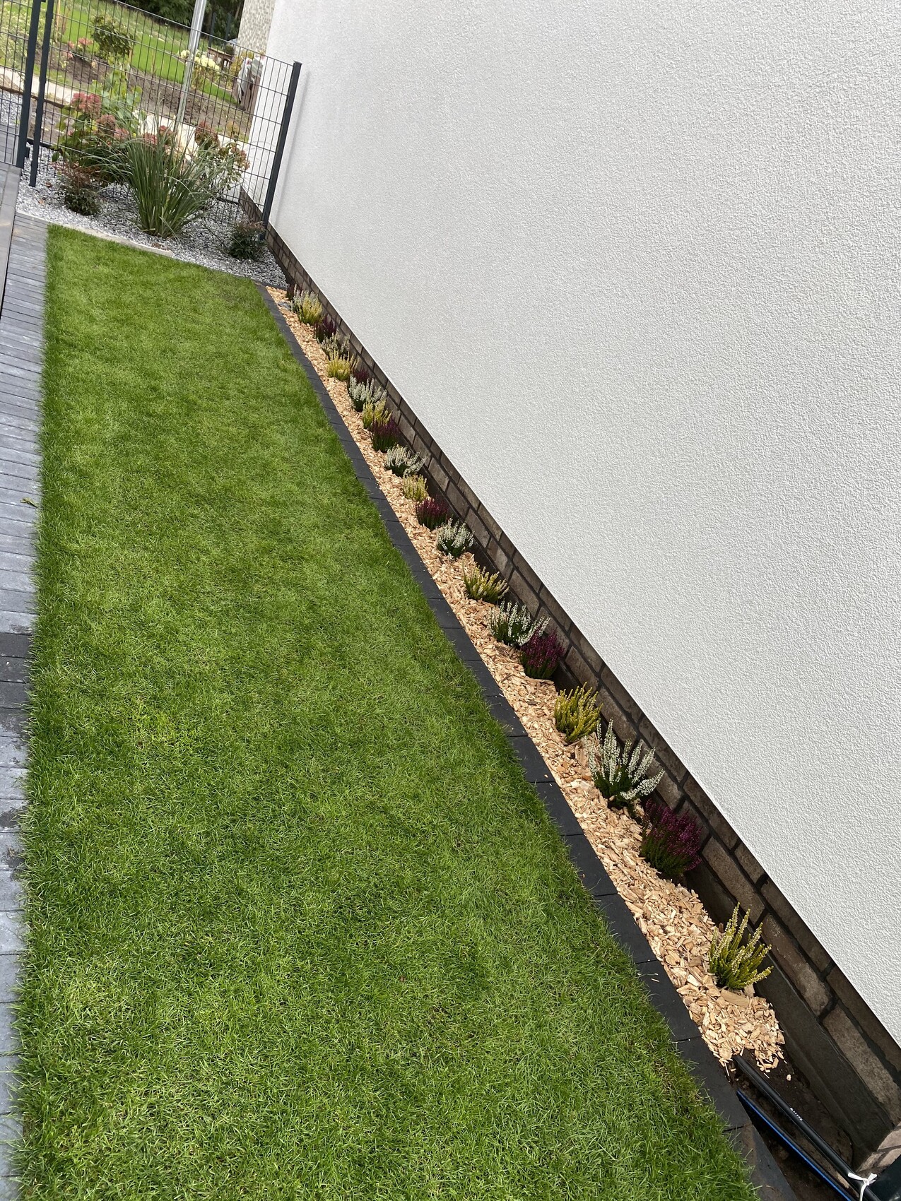 Gepflegter Rasenstreifen neben weißer Hauswand, schmale Beetkante mit Mulch und Sukkulenten.