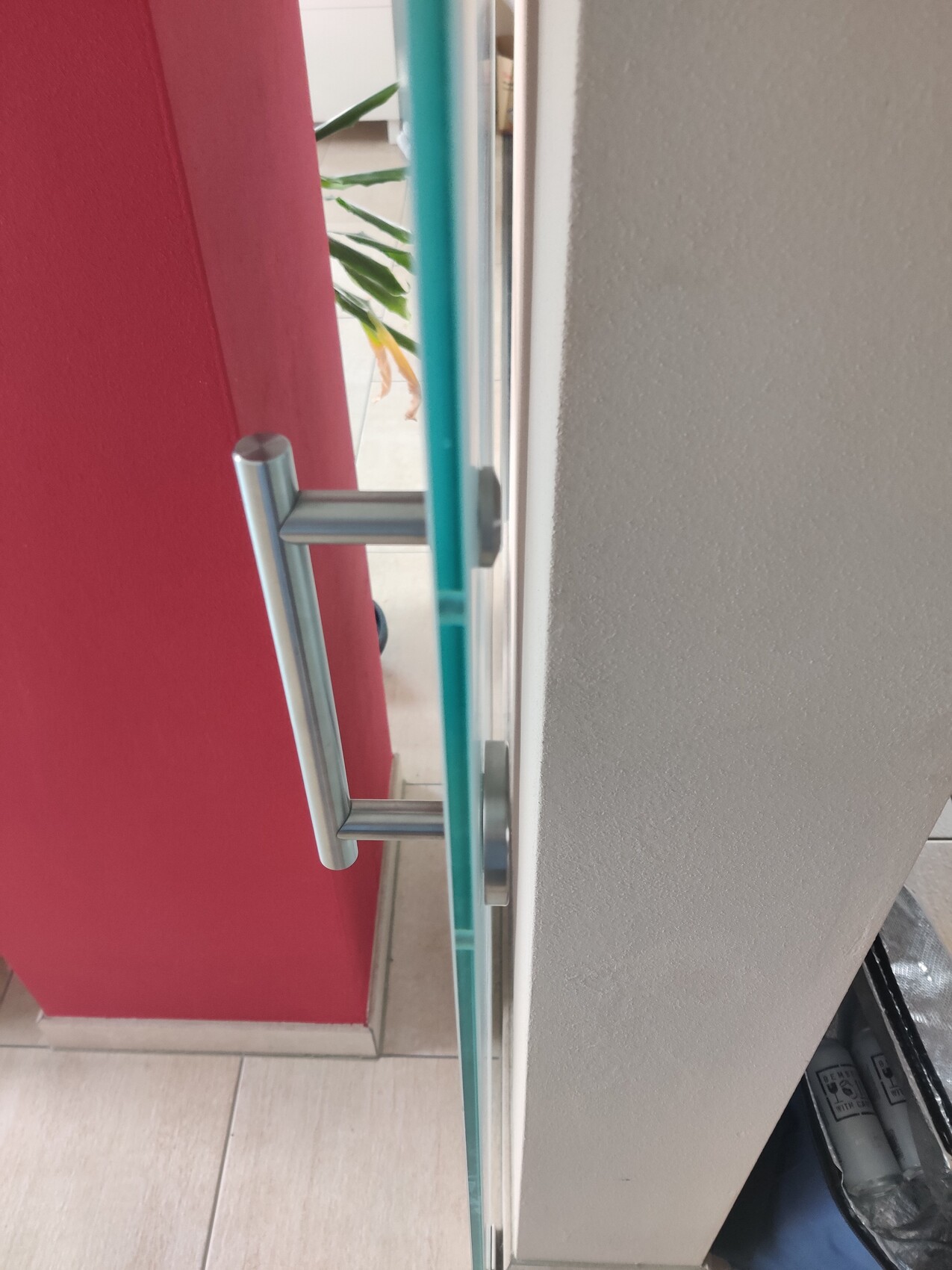 Edelstahl-Türgriff an Glastür vor roter Wand; Innenraum mit Pflanze sichtbar.