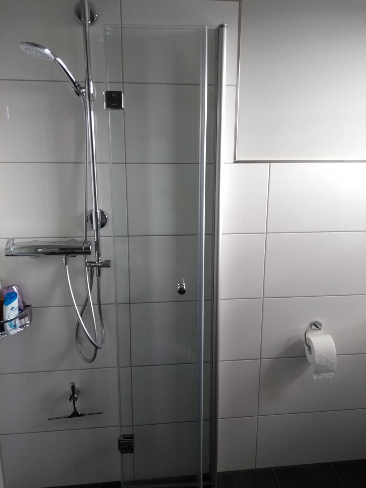 Moderne Duschkabine aus Glas mit Handbrause, Chromarmaturen; Toilettenpapierhalter an der Fliesenwand.