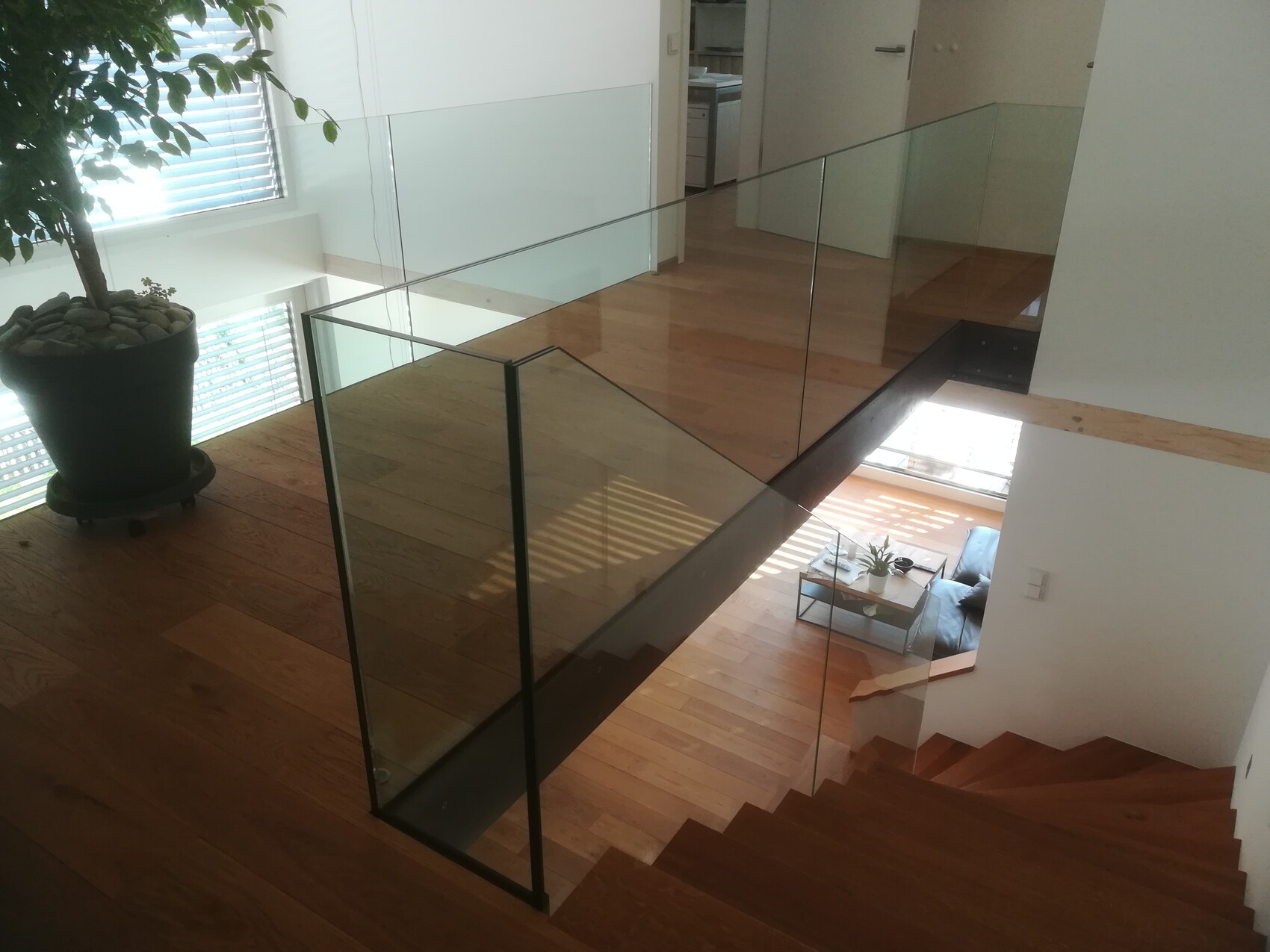 Moderne Treppe mit Glasgeländer und Holzboden; Blick ins Wohnzimmer und Pflanze.