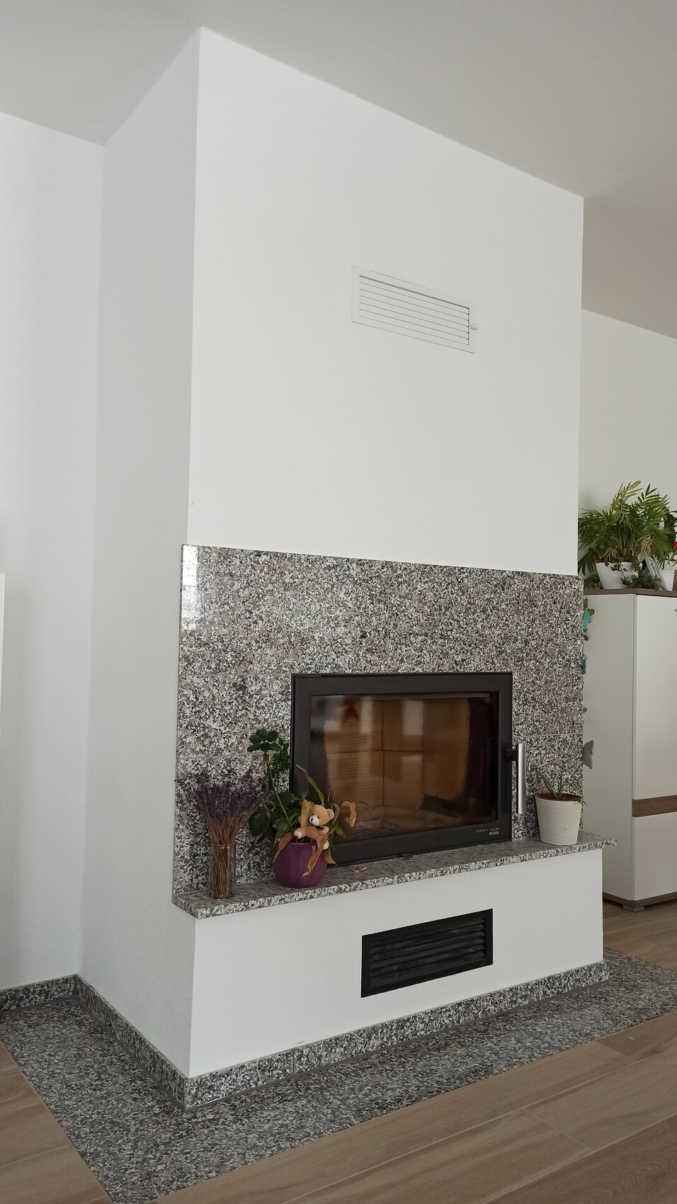Moderne Kaminverkleidung aus grauem Granit mit Glastür, Pflanze und Deko.