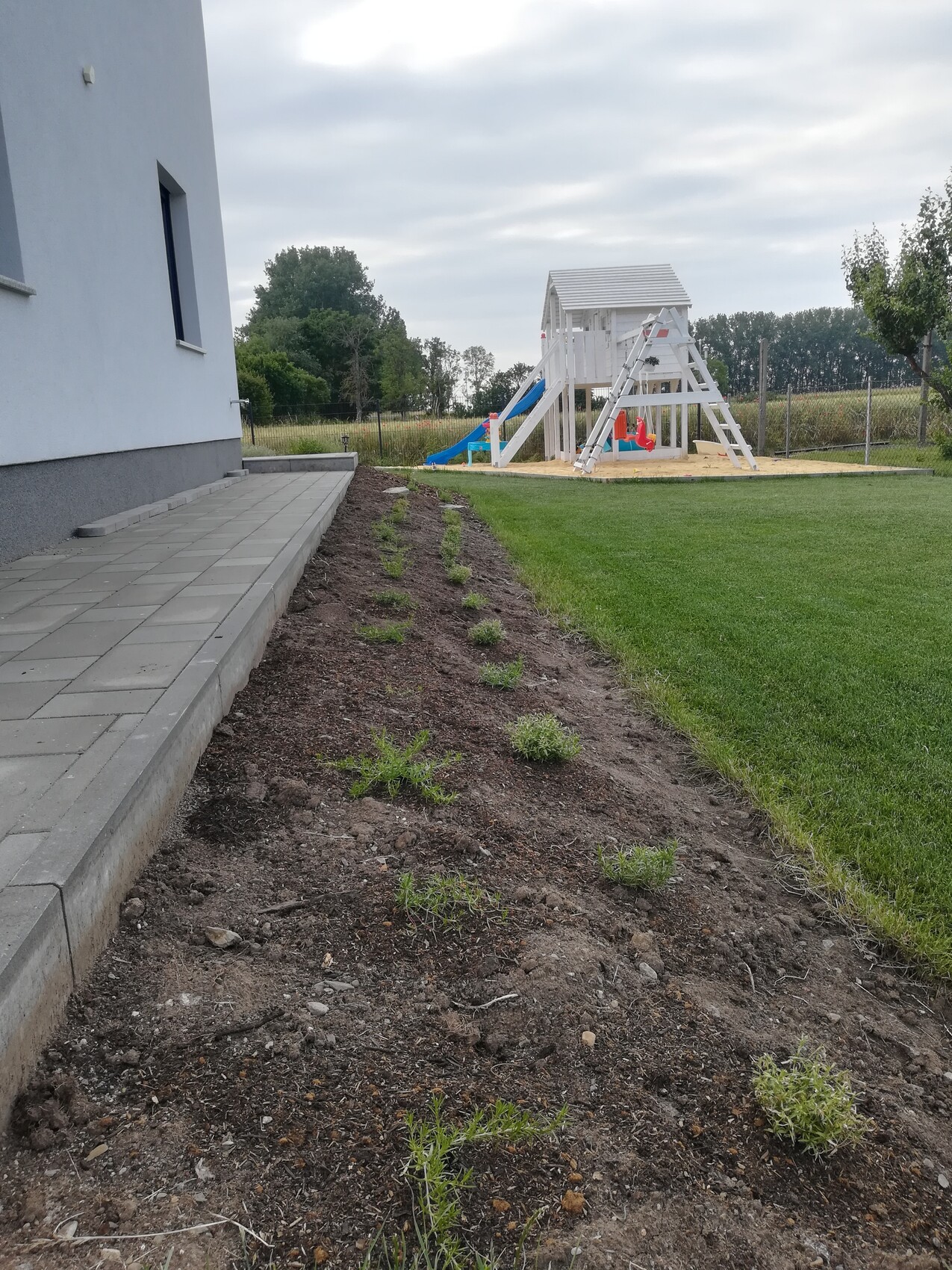 Seitliches Gartenbild: gepflasterter Weg am Haus, neue Beete mit Jungpflanzen, Spielturm im Hof.