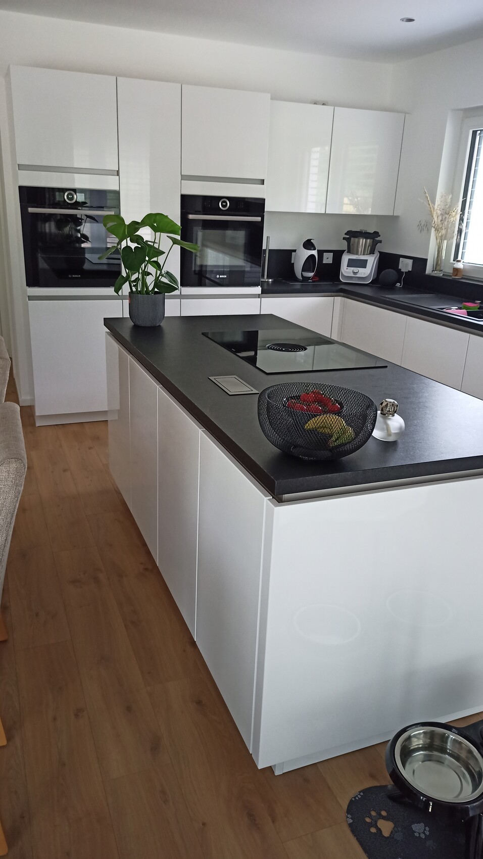 Moderne weiße Küche mit dunkler Insel, Pflanze, Obstkorb und Hundeschüssel am Boden.