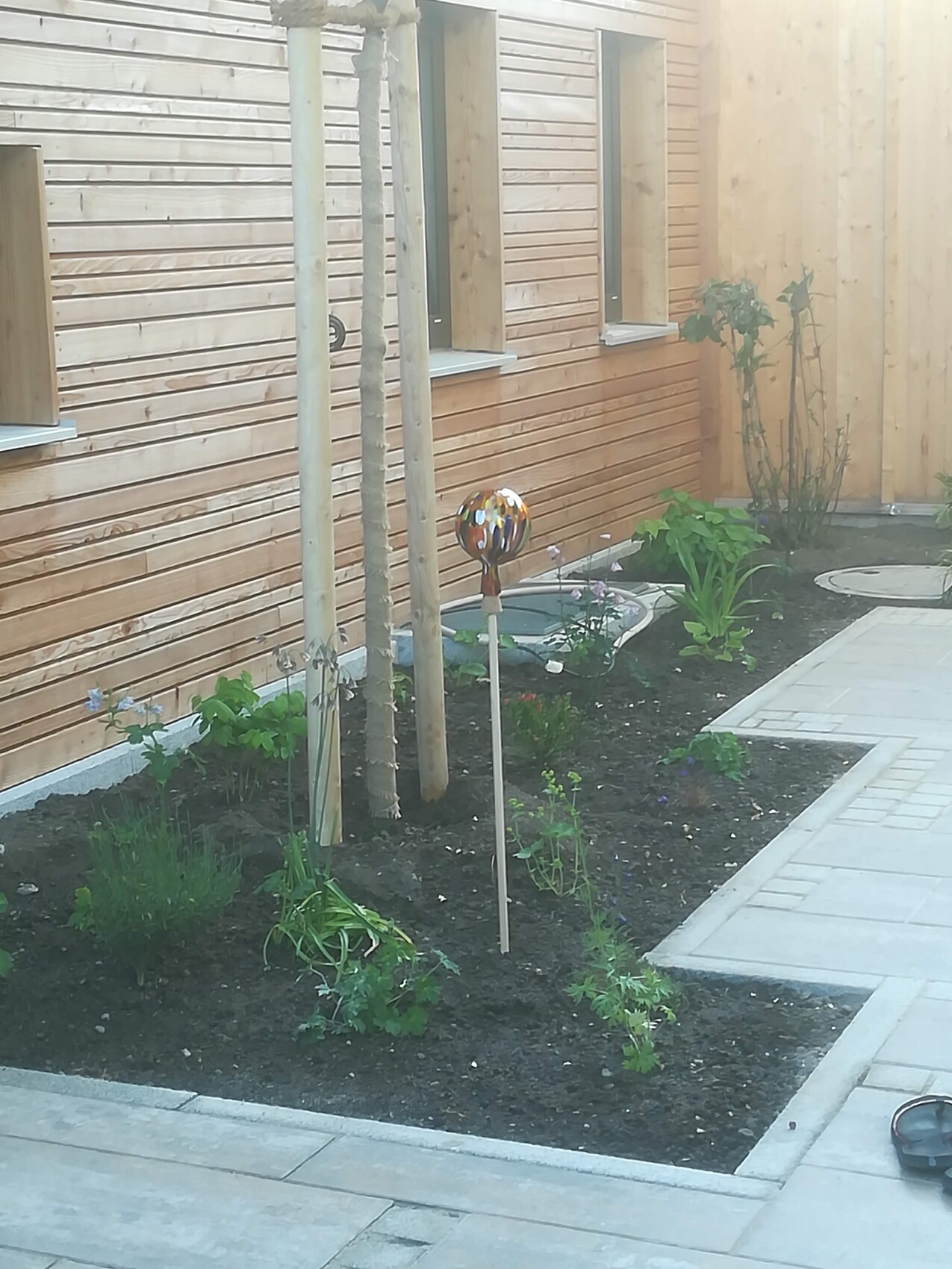 Gartenweg neben Holzwand mit bunter Glaskugel-Gartenstab und Pflanzen