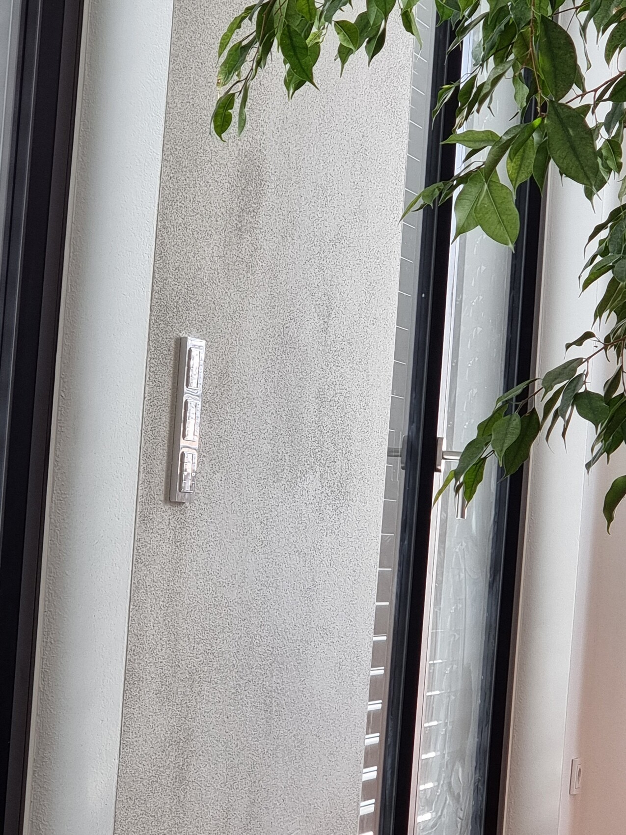 Texturierte Wand mit dreifach-Schalterpanel, Glas-Türgriff und grüne Pflanze.