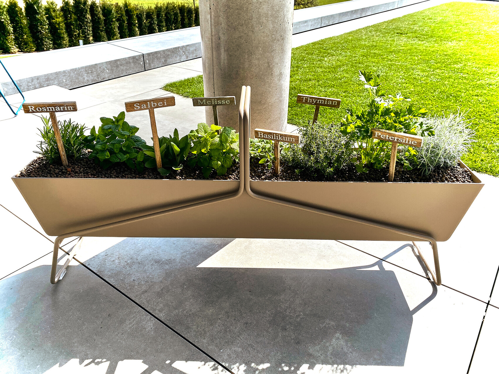 Moderne Kräuterbox mit Rosmarin, Salbei, Melisse, Basilikum, Thymian, Petersilie auf Terrasse