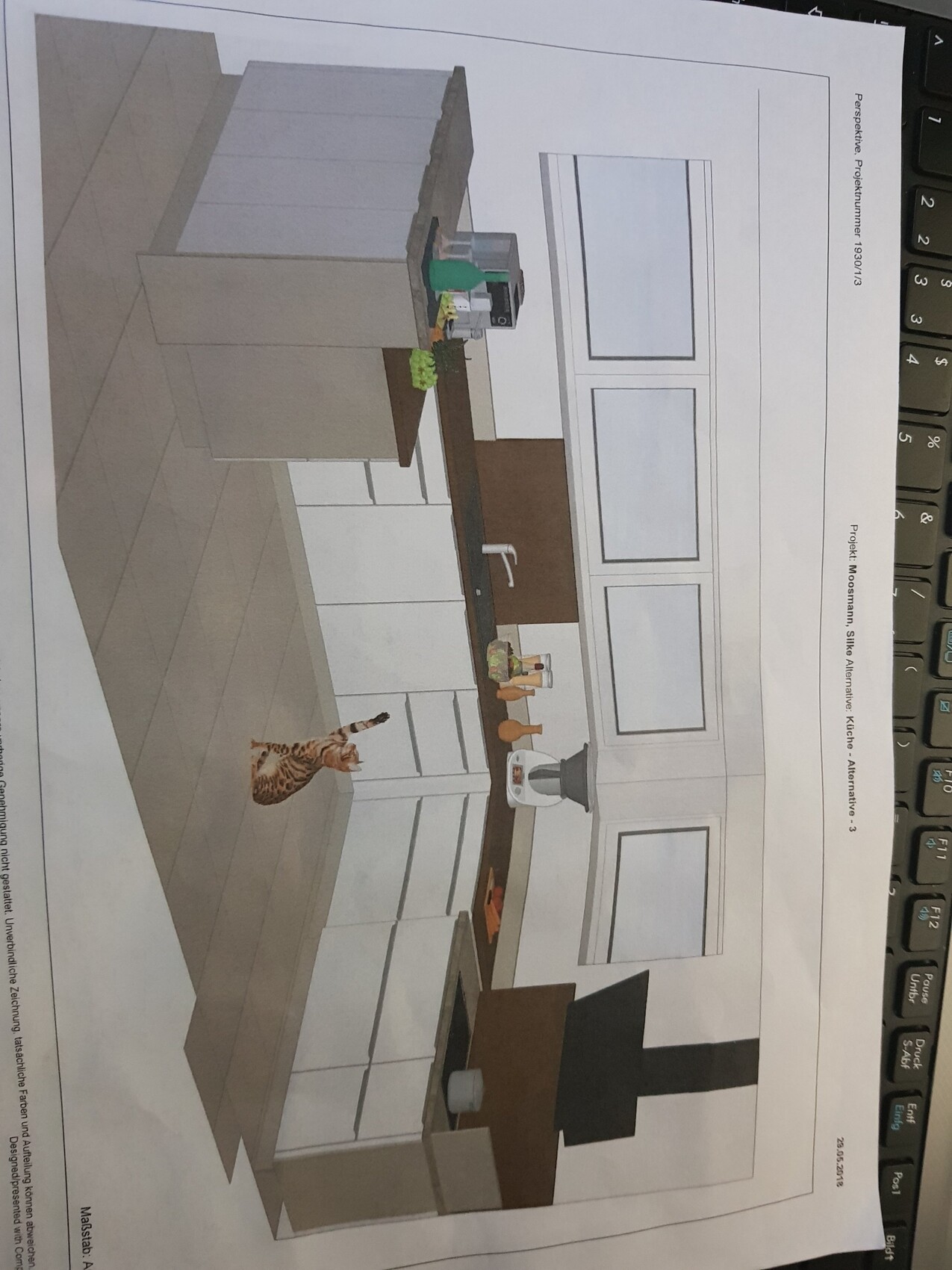 Moderne Küche mit Kochinsel, Spüle und Katze in 3D-Ansicht