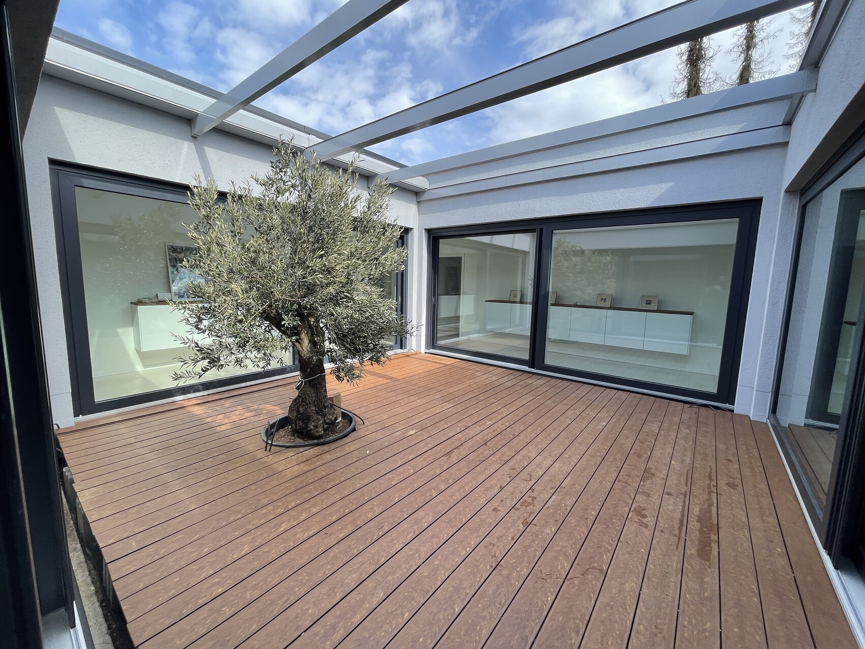 Terrasse im Innenhof mit Olivenbaum, Holzboden, Glasfenstern und offener Dachkonstruktion.