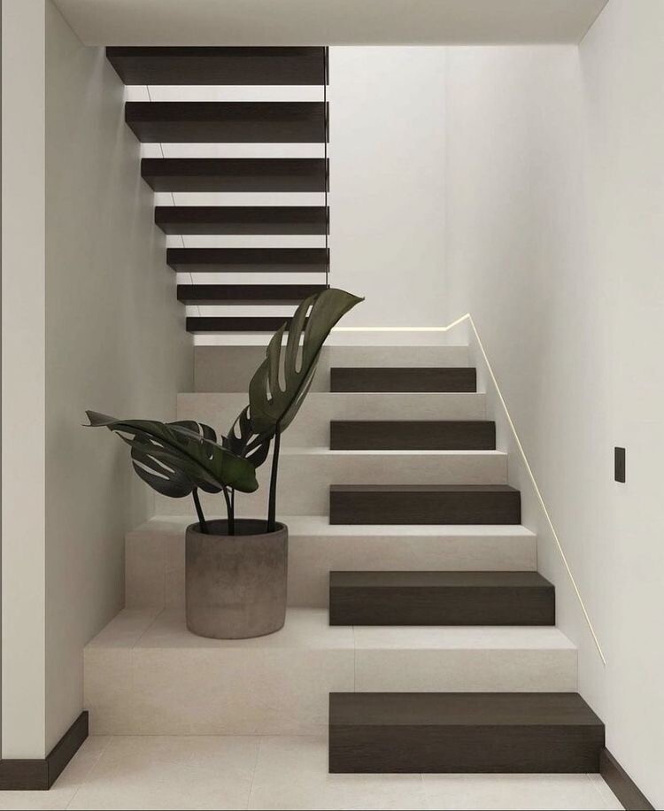 Moderner Innen-Treppenaufgang mit dunklen Stufen, weißer Wand und Monstera-Pflanze im Topf.