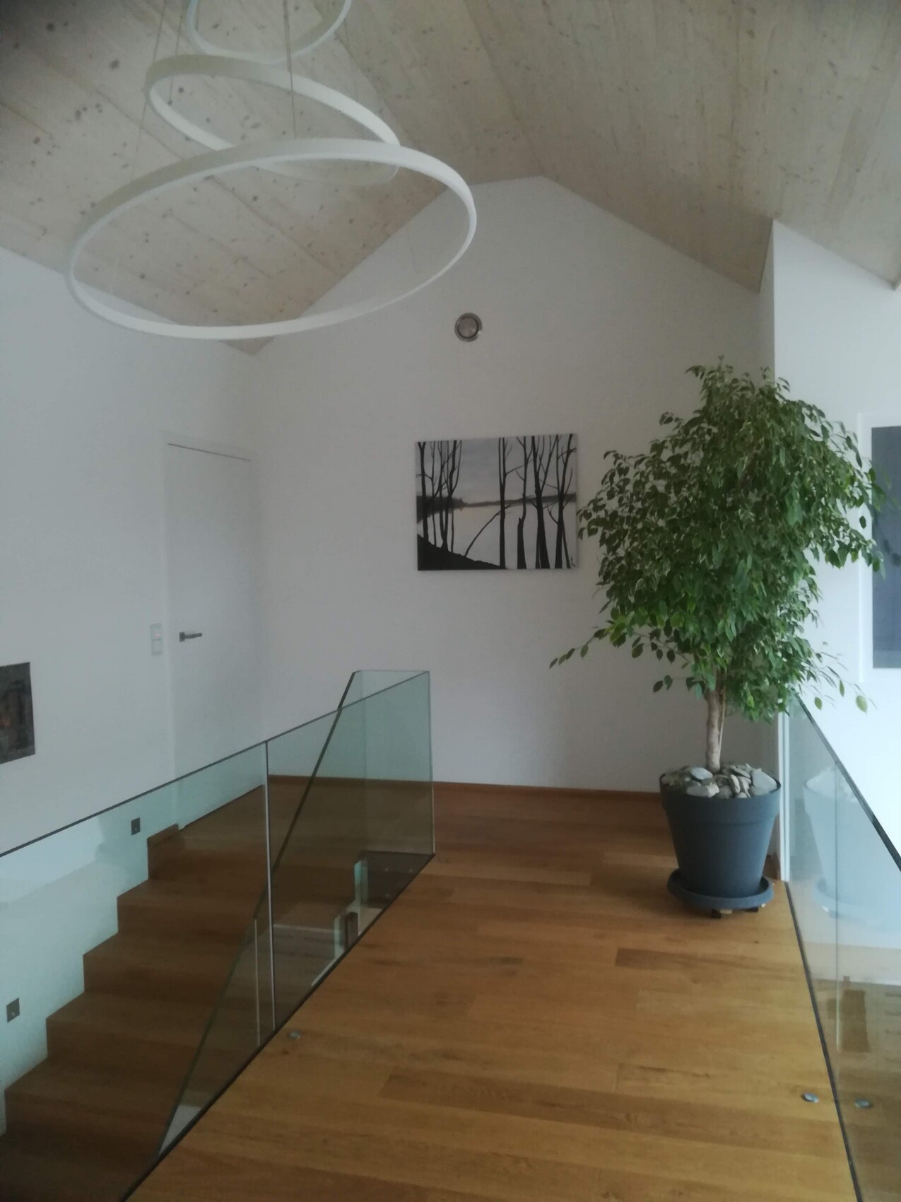 Moderne Innenansicht: Holztreppe mit Glasgeländer, große Pflanze und schwarze Wald-Wandkunst.