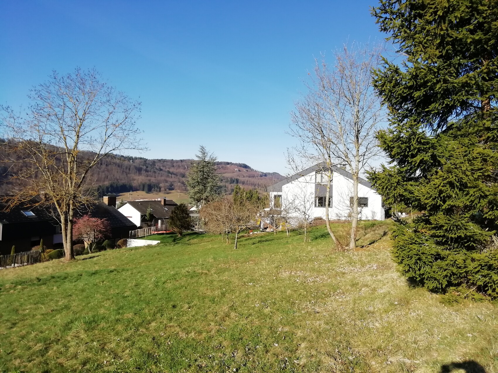 Weiße moderne Villa im Zentrum, benachbarte Häuser, kahle Bäume, grüne Wiese, blauer Himmel.