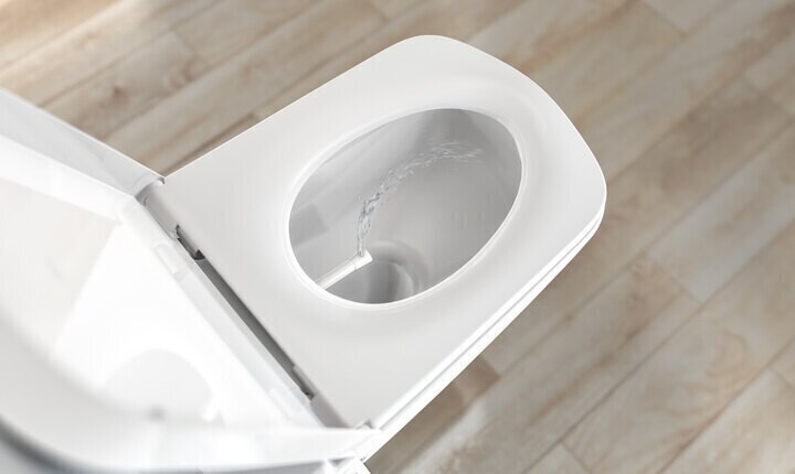 Weiße WC-Keramik mit Wasser im Becken, Deckel offen, Holzboden im Hintergrund