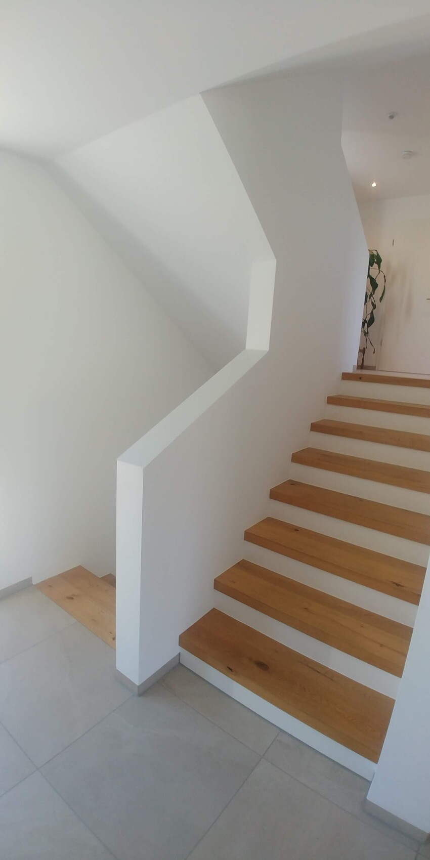 Moderne Innen-Treppe mit hellen Holzstufen, weiße Wände und geometrische Form; Pflanze oben.