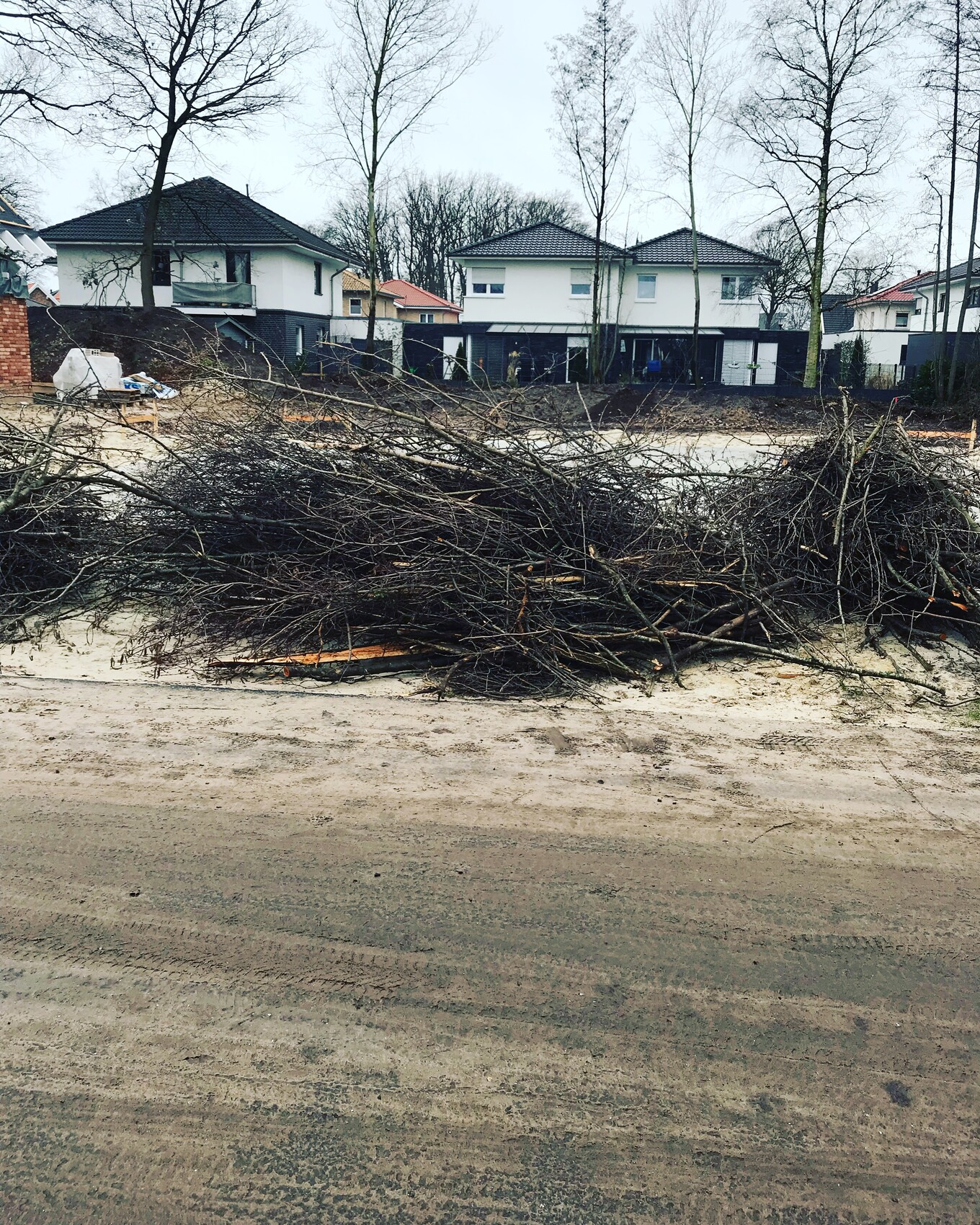 Straßenszene in Wohngebiet mit Ästen und Zweigen im Vordergrund und modernen Häusern dahinter