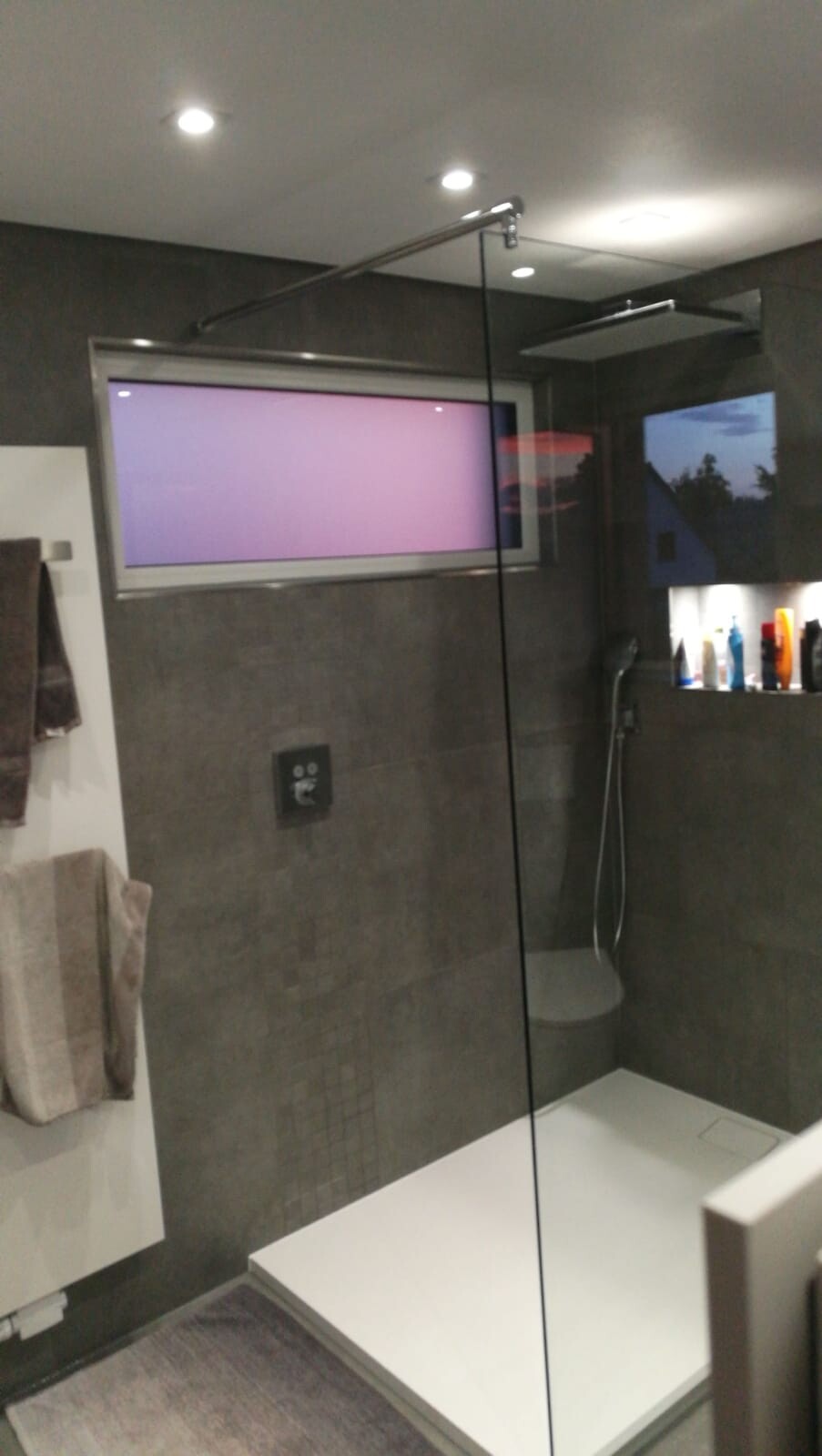 Moderne Dusche mit Glasabtrennung, dunkle Wandfliesen, Nische mit Pflegeprodukten.