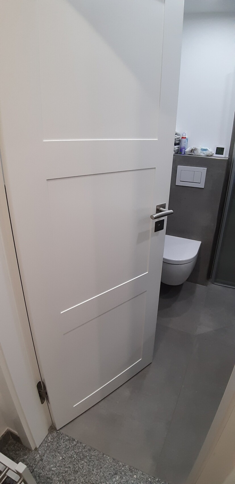 Offene weiße Tür ins Badezimmer mit Toilette, Spülkasten und Glasdusche.