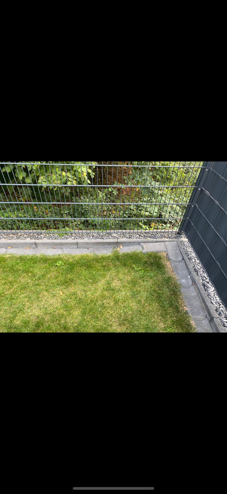 Gartenansicht mit grünem Rasen, Kiesstreifen und grauem Metallgitterzaun; dahinter Buschwerk.