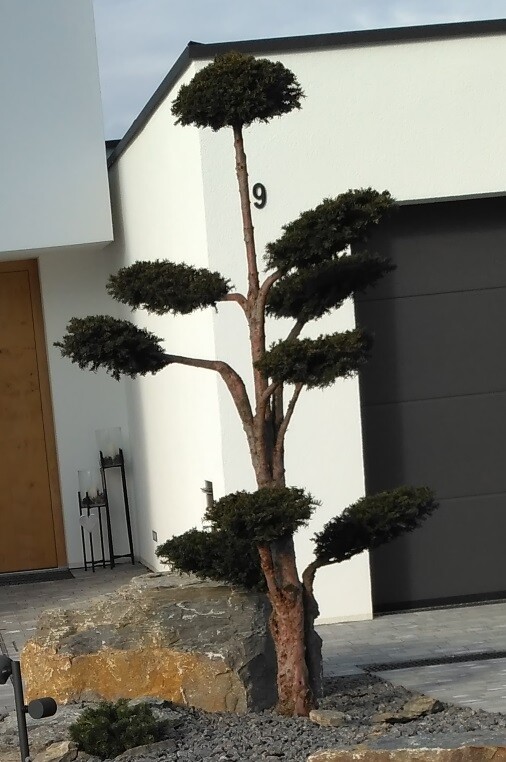 Moderne Hausfront mit Holztür, Garage und gestutztem Baum im Eingangsbereich