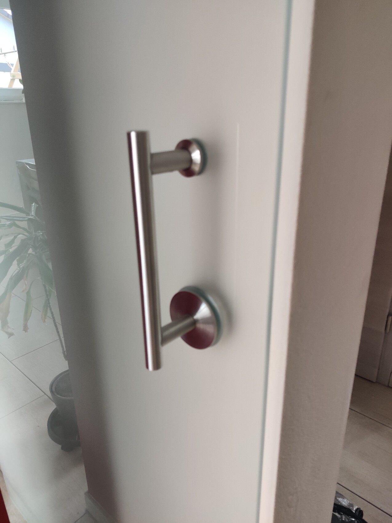 Moderner Edelstahl-Türgriff an einer Glas-Tür im Innenbereich, Pflanze im Hintergrund.