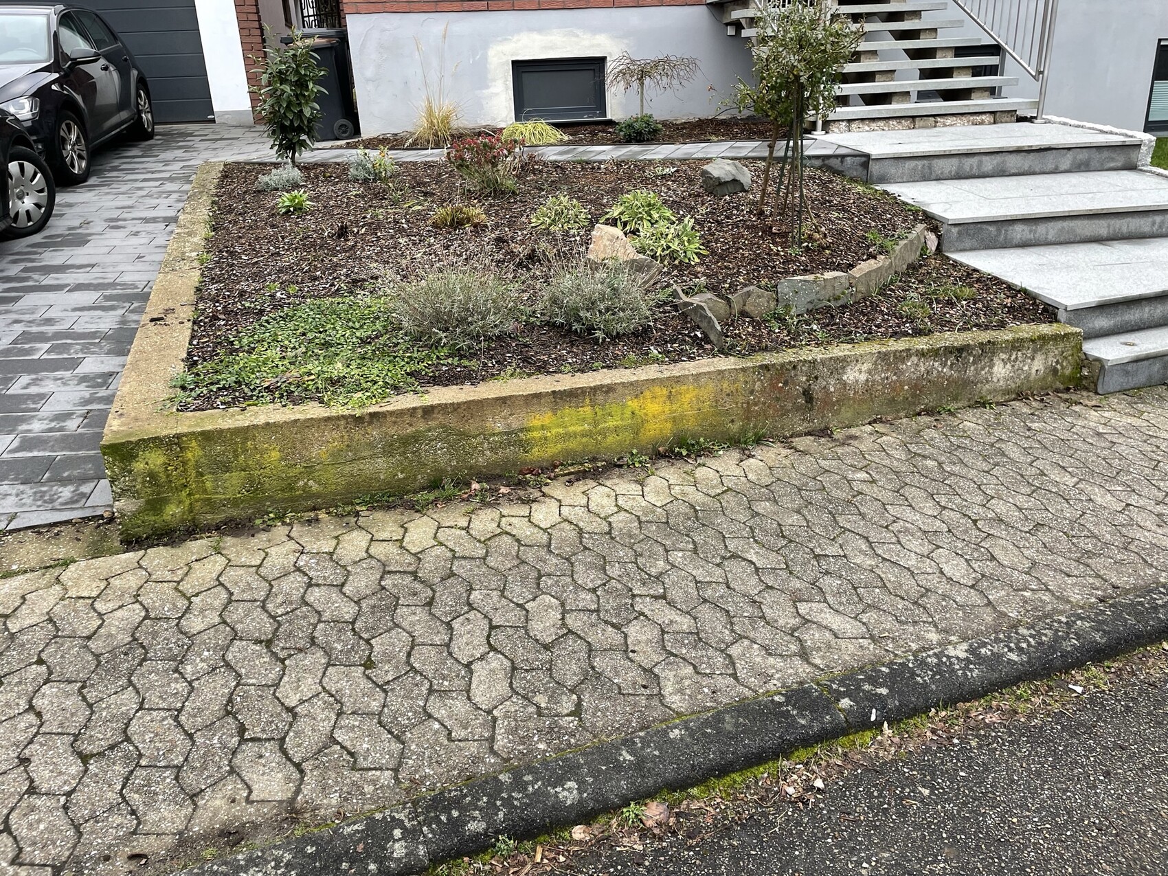 Vorgarten mit erhöhtem Beet aus Stein, kleine Pflanzen, Treppe zum Haus rechts, geparkter Wagen links.