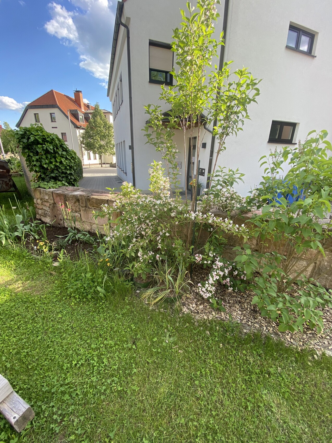 Weiße Wohnanlage mit Gartenpflanzen, Sträuchern und kleinen Bäumen vor Steinmauer.